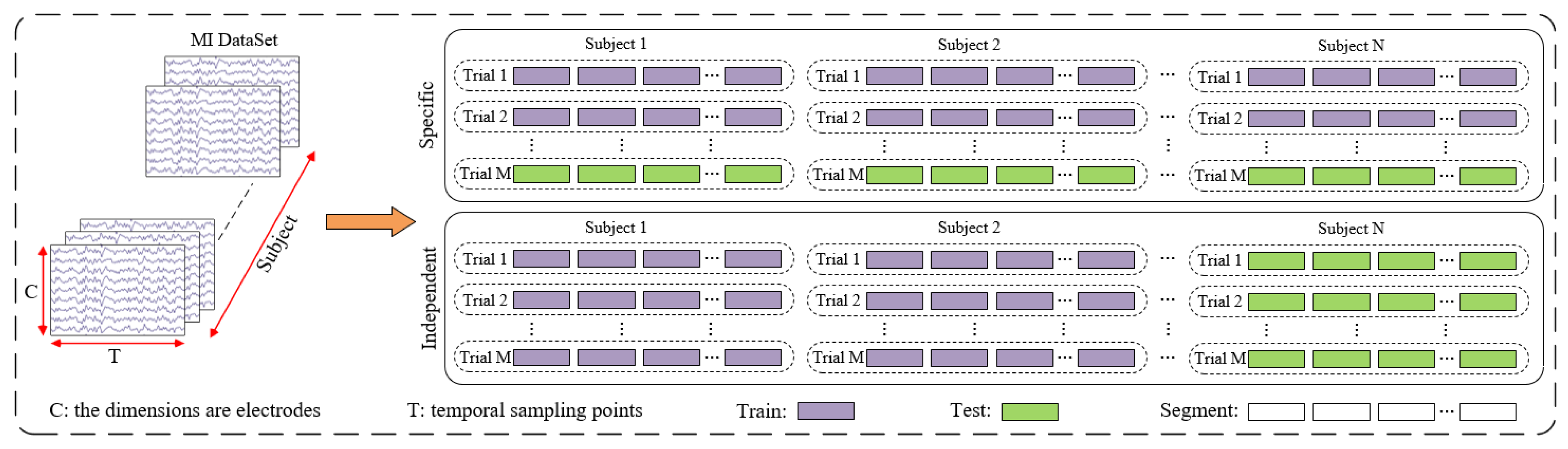 Brainsci 15 00883 g006