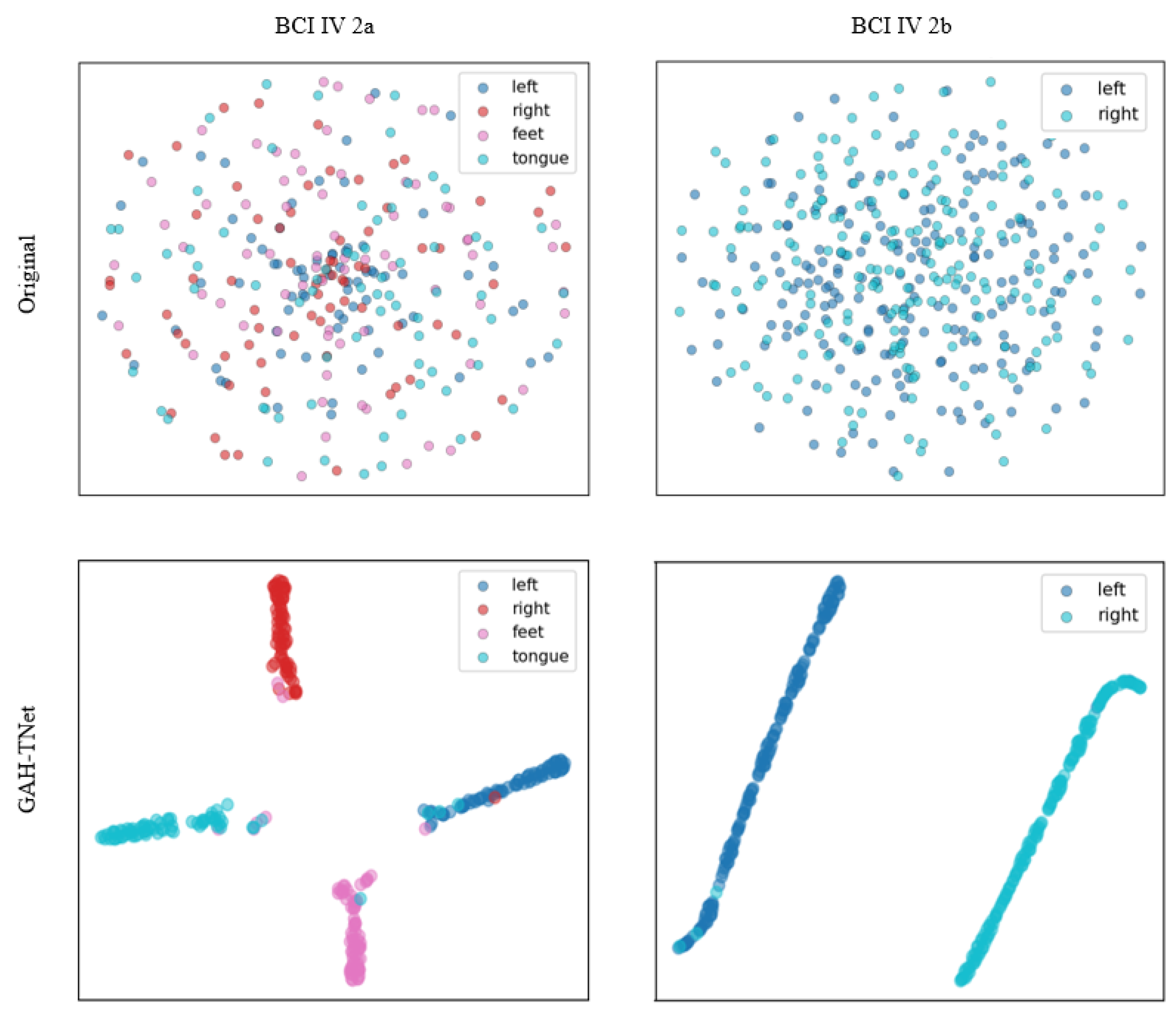 Brainsci 15 00883 g008