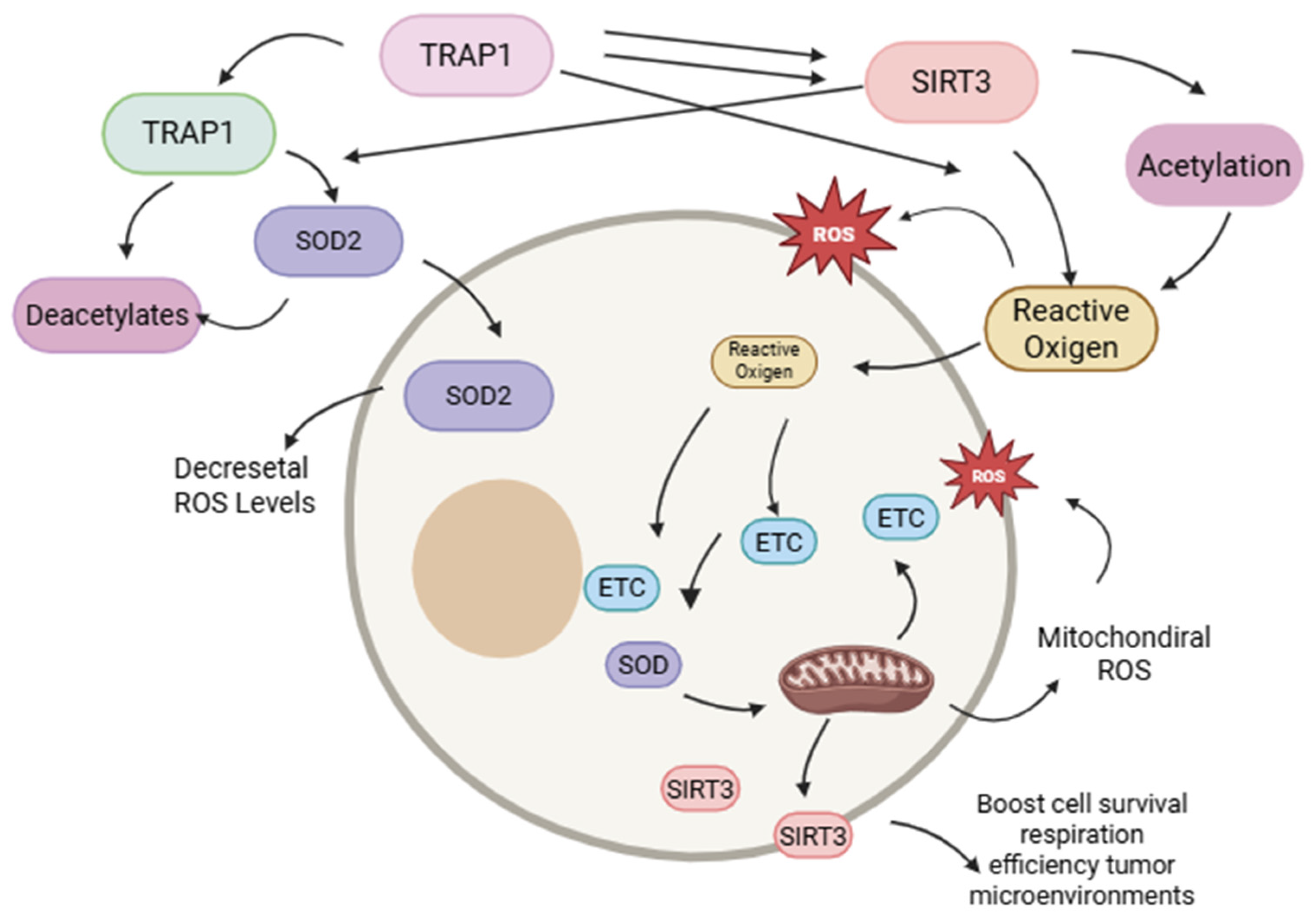 Brainsci 15 00884 g004
