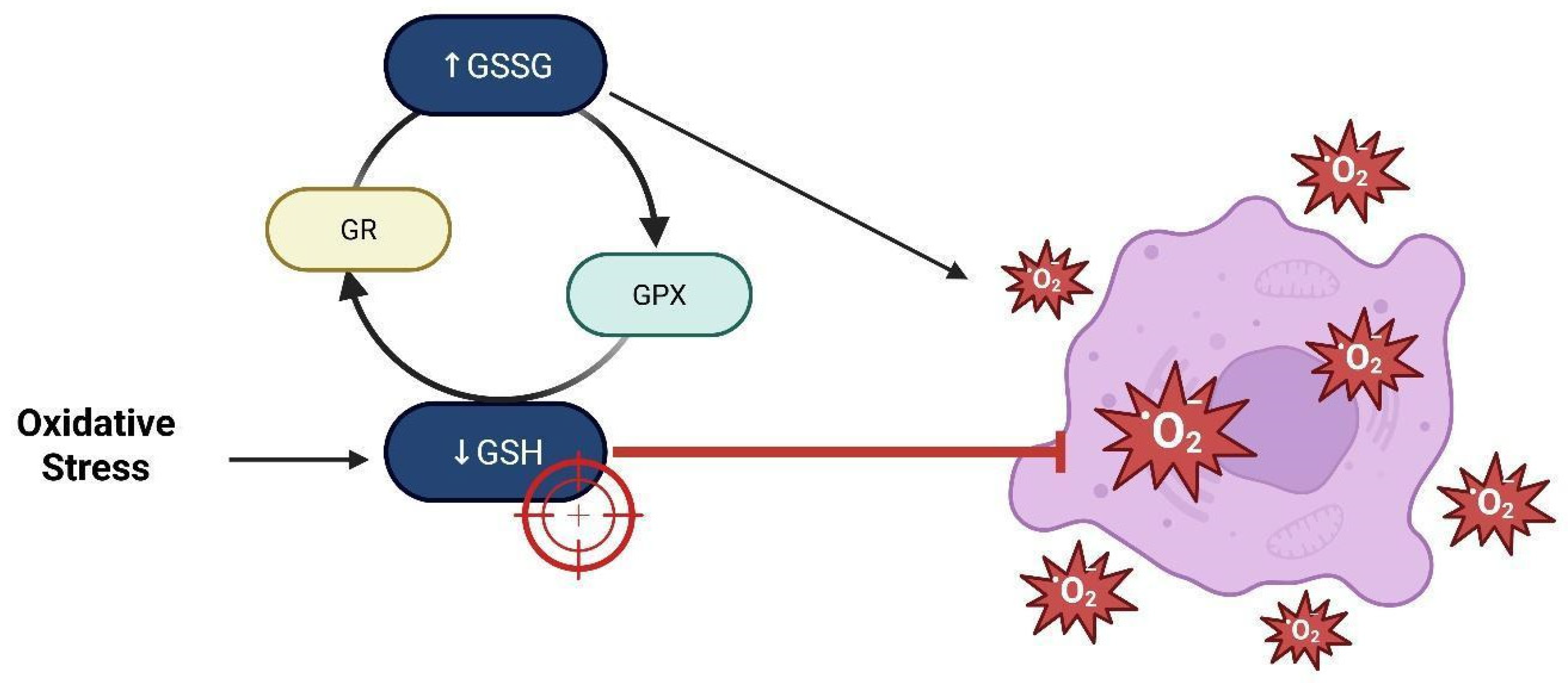 Brainsci 15 00884 g009