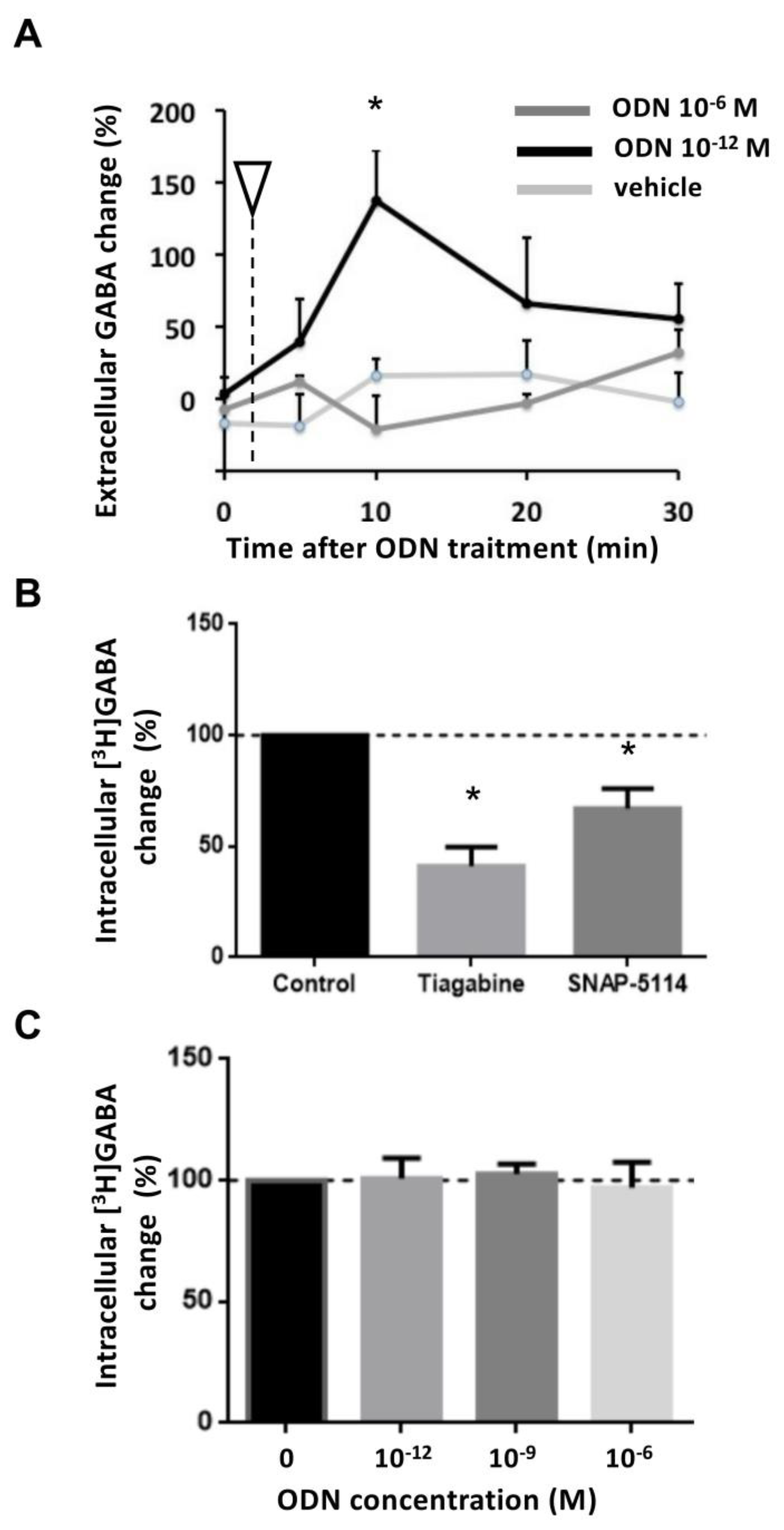 Brainsci 15 00885 g004 Brainsci 15 00885 g004