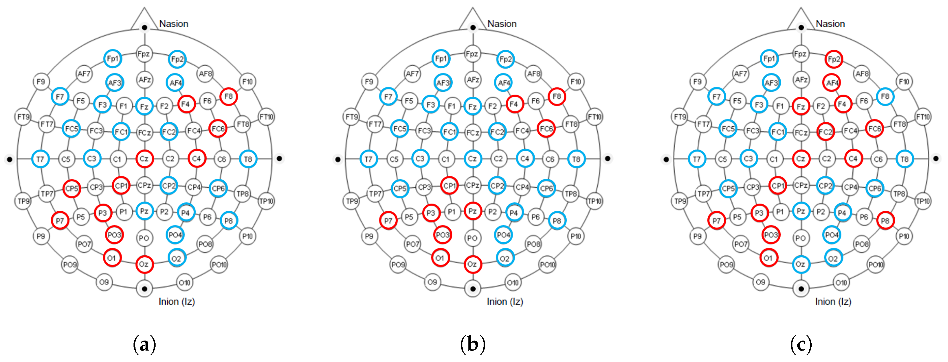 Brainsci 15 00886 g010
