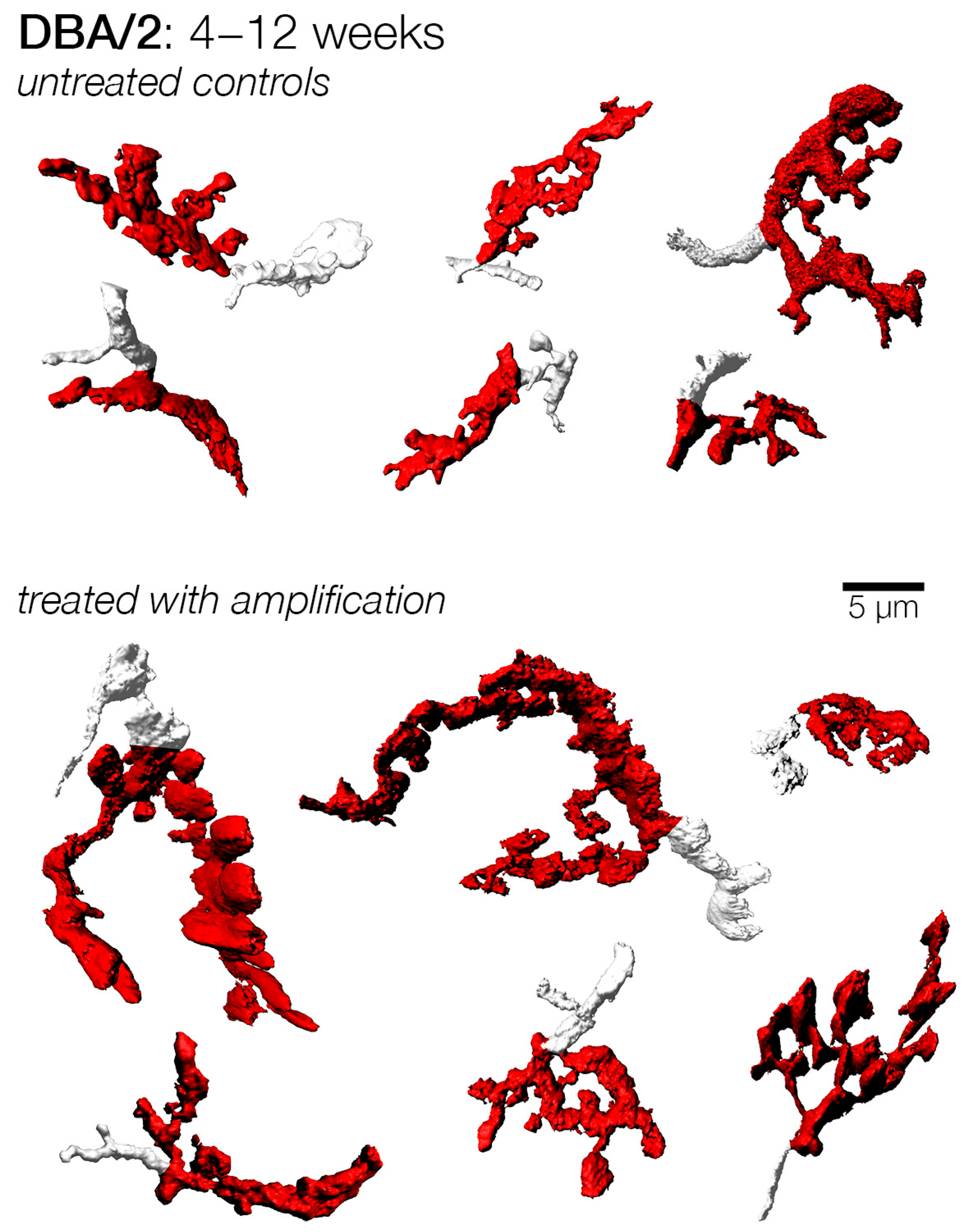 Brainsci 15 00888 g006 Brainsci 15 00888 g006
