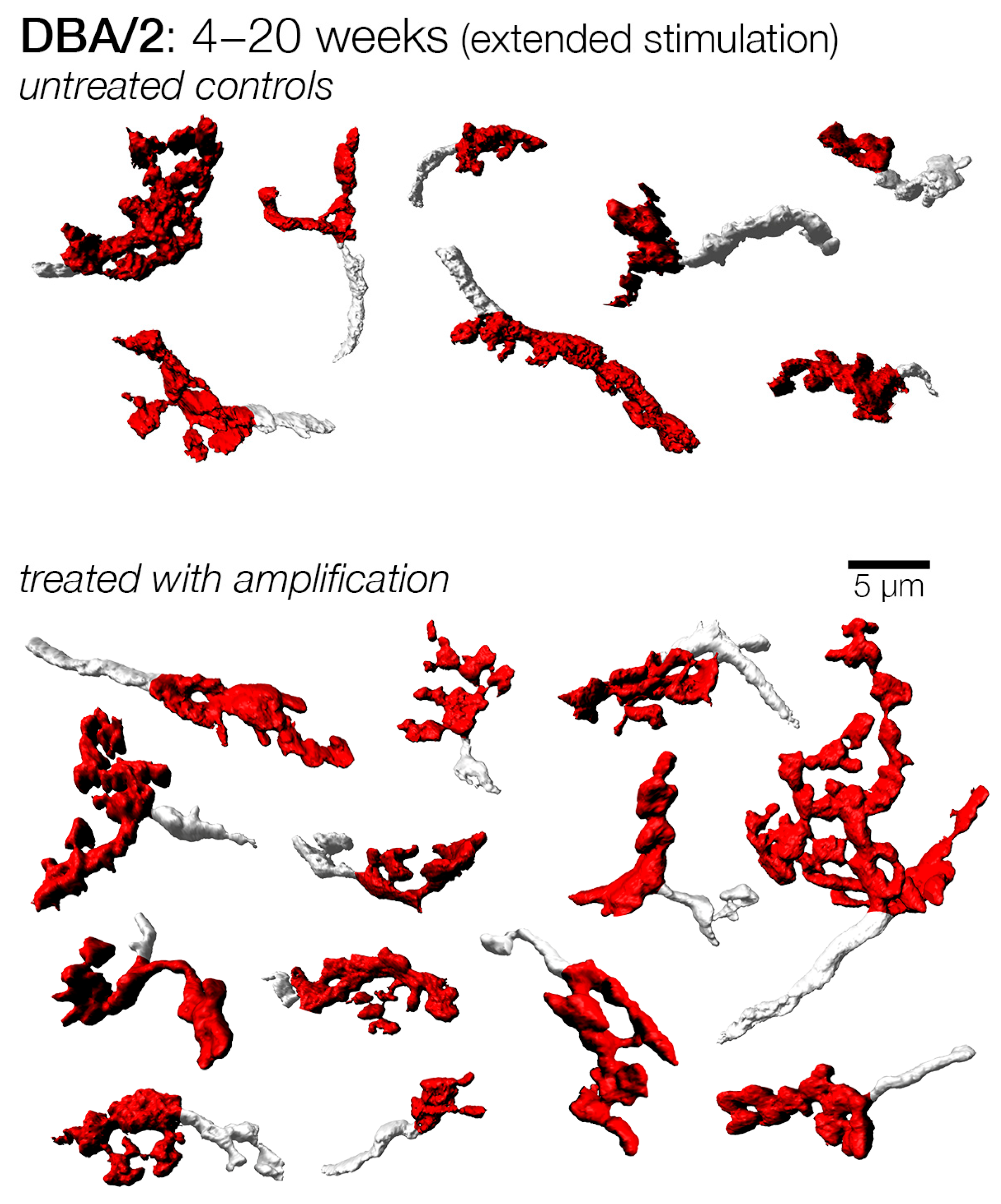 Brainsci 15 00888 g010 Brainsci 15 00888 g010