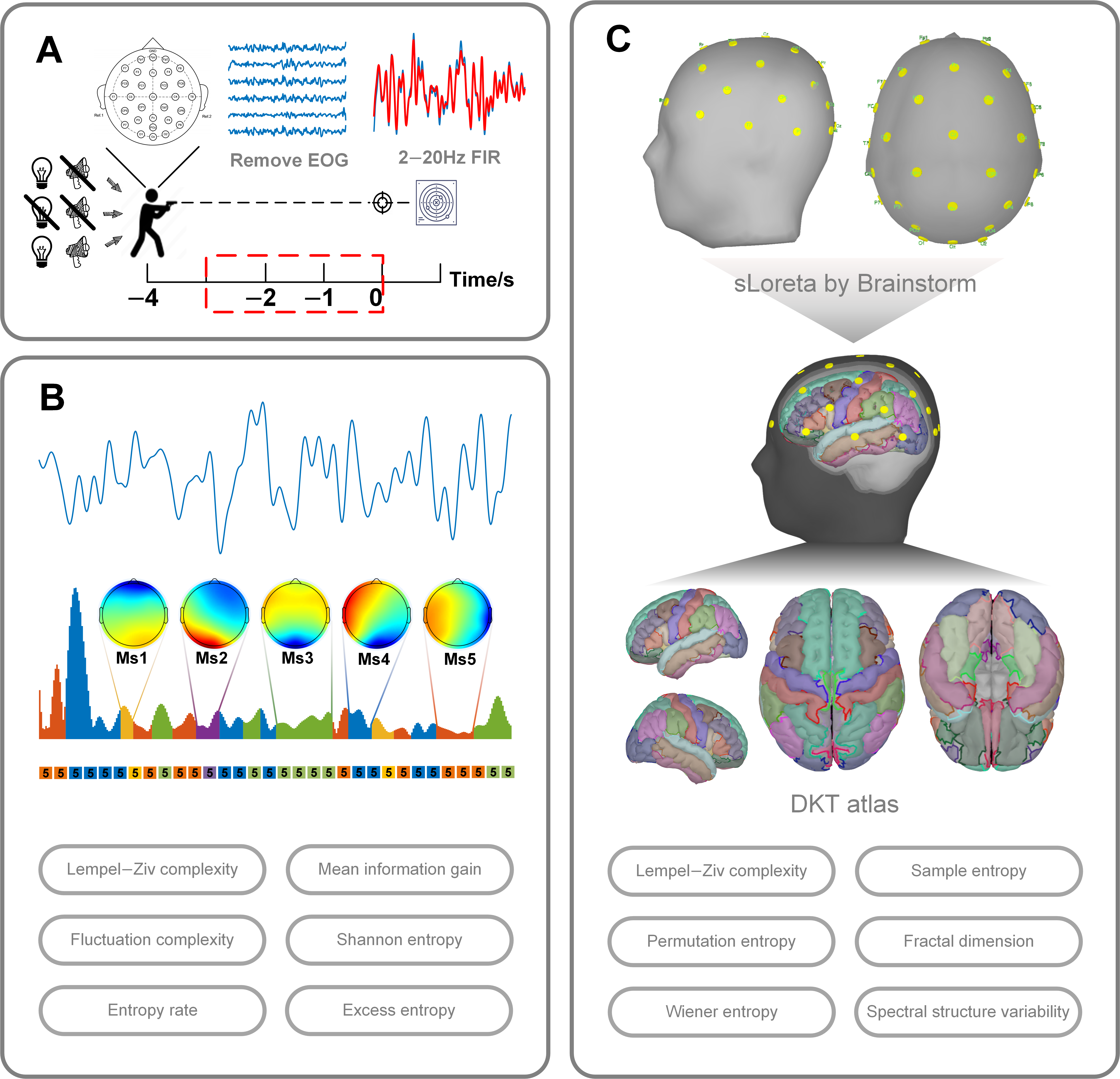 Brainsci 15 00891 g001