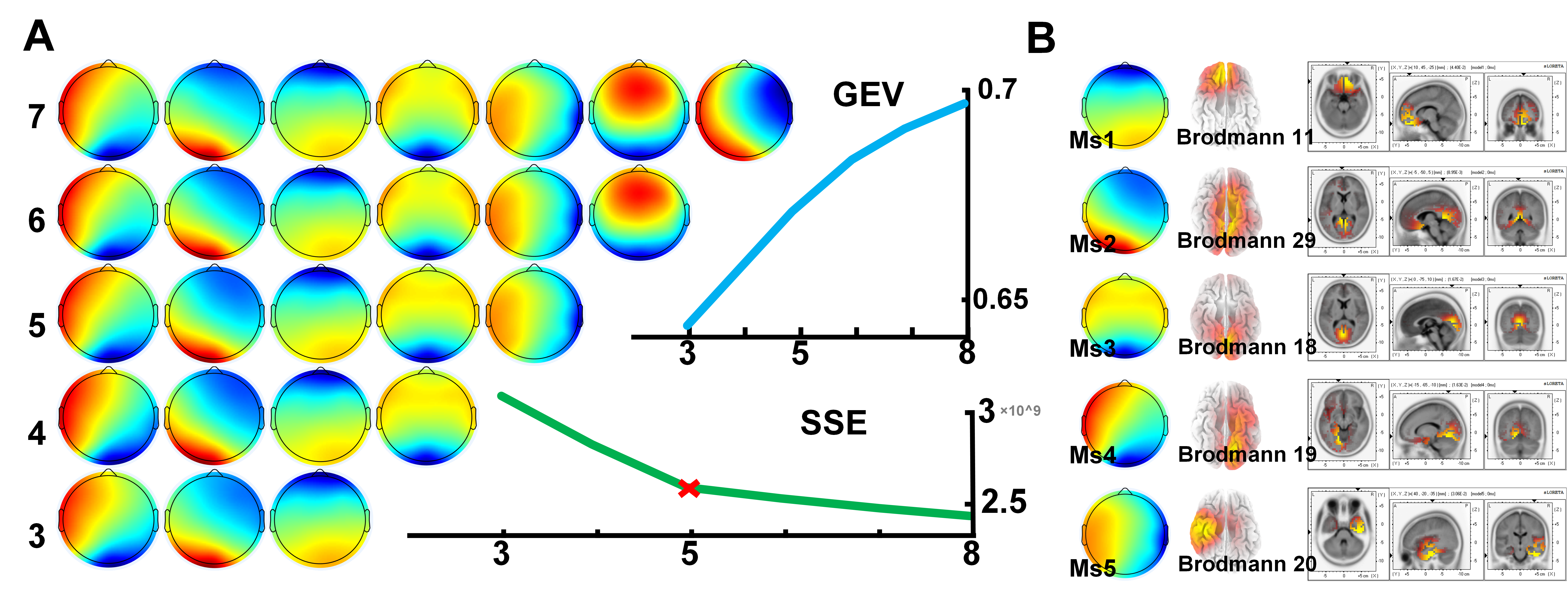 Brainsci 15 00891 g002