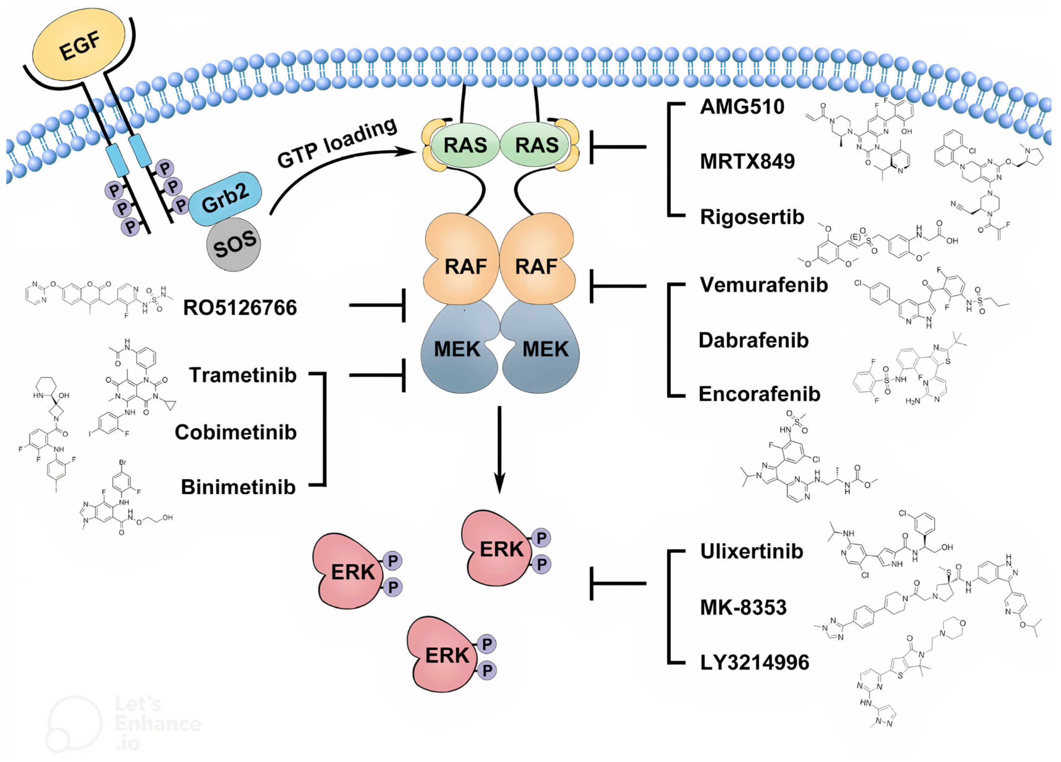 Brainsci 15 00894 g002