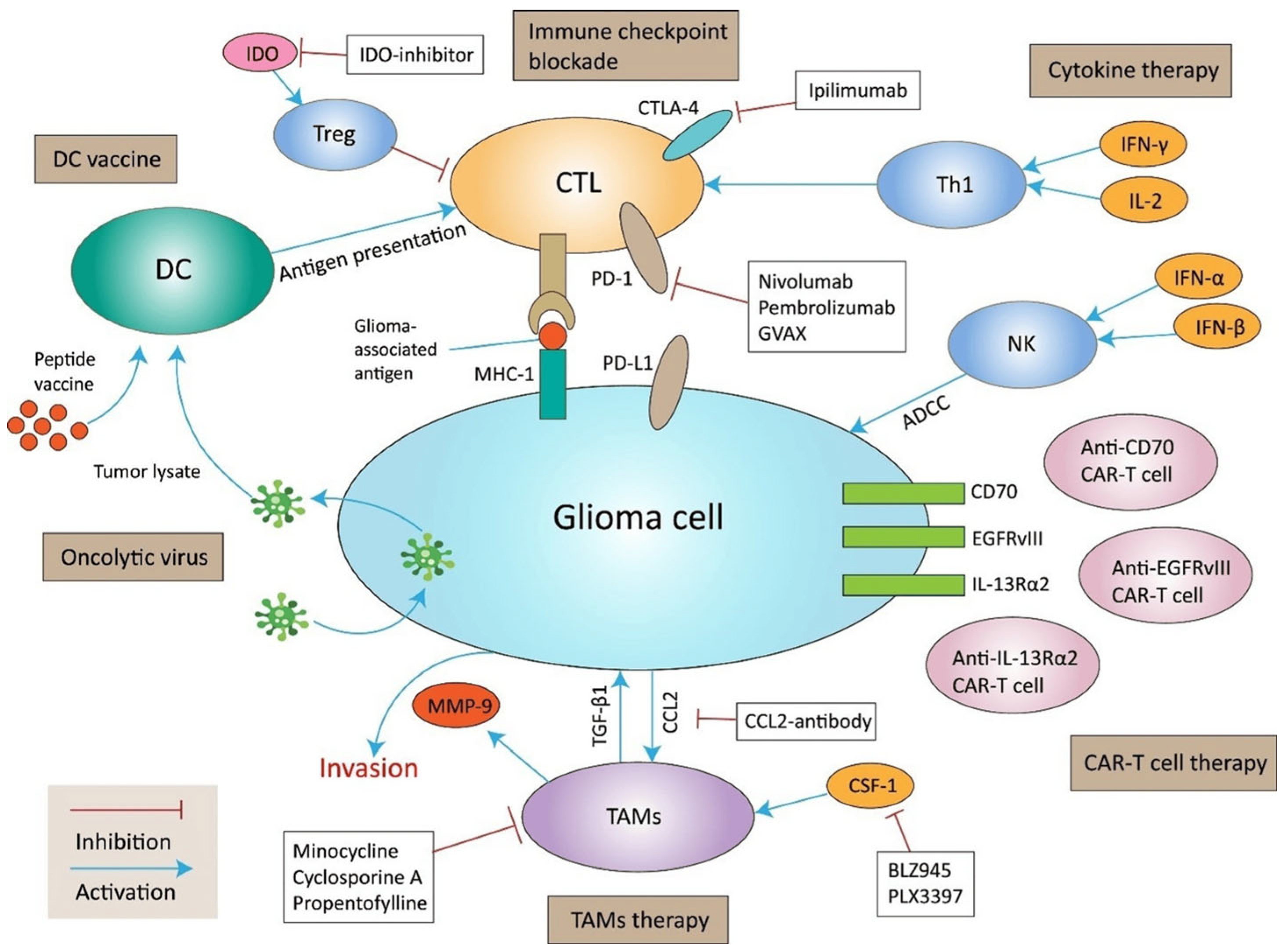 Brainsci 15 00894 g003