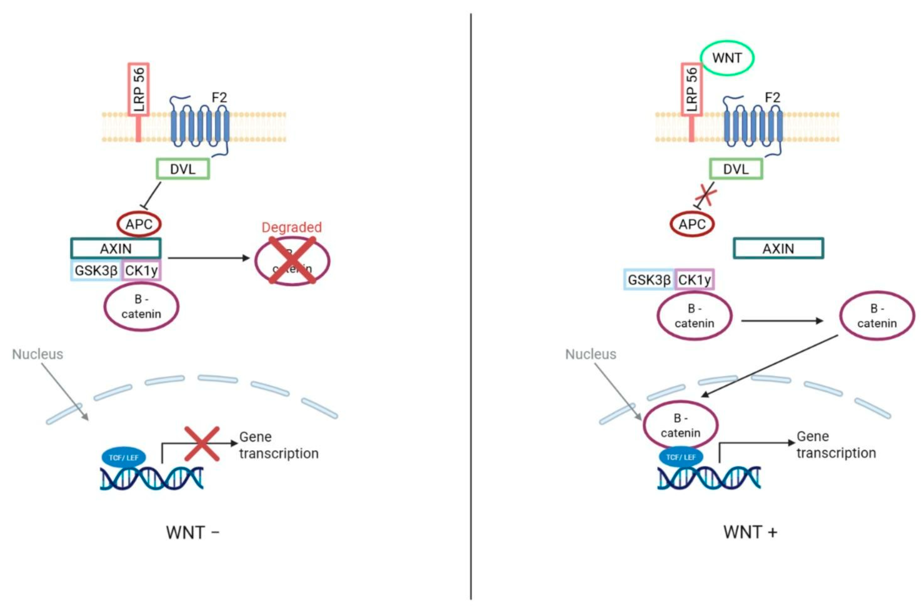 Brainsci 15 00896 g003 Brainsci 15 00896 g003