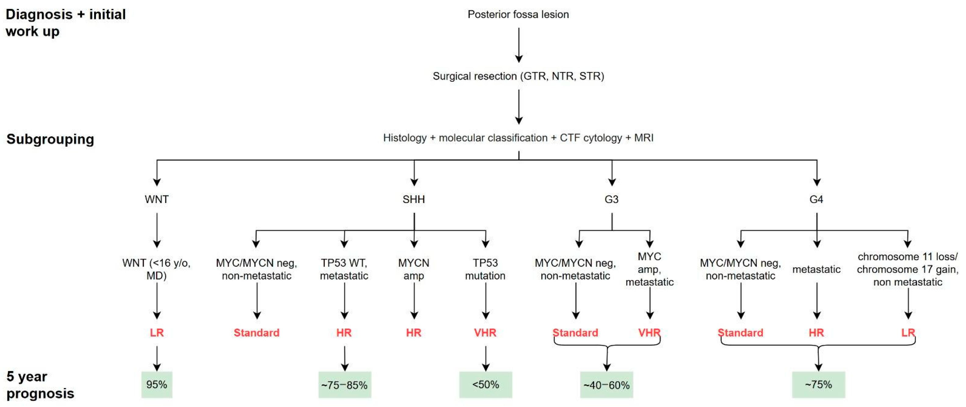 Brainsci 15 00896 g004 Brainsci 15 00896 g004