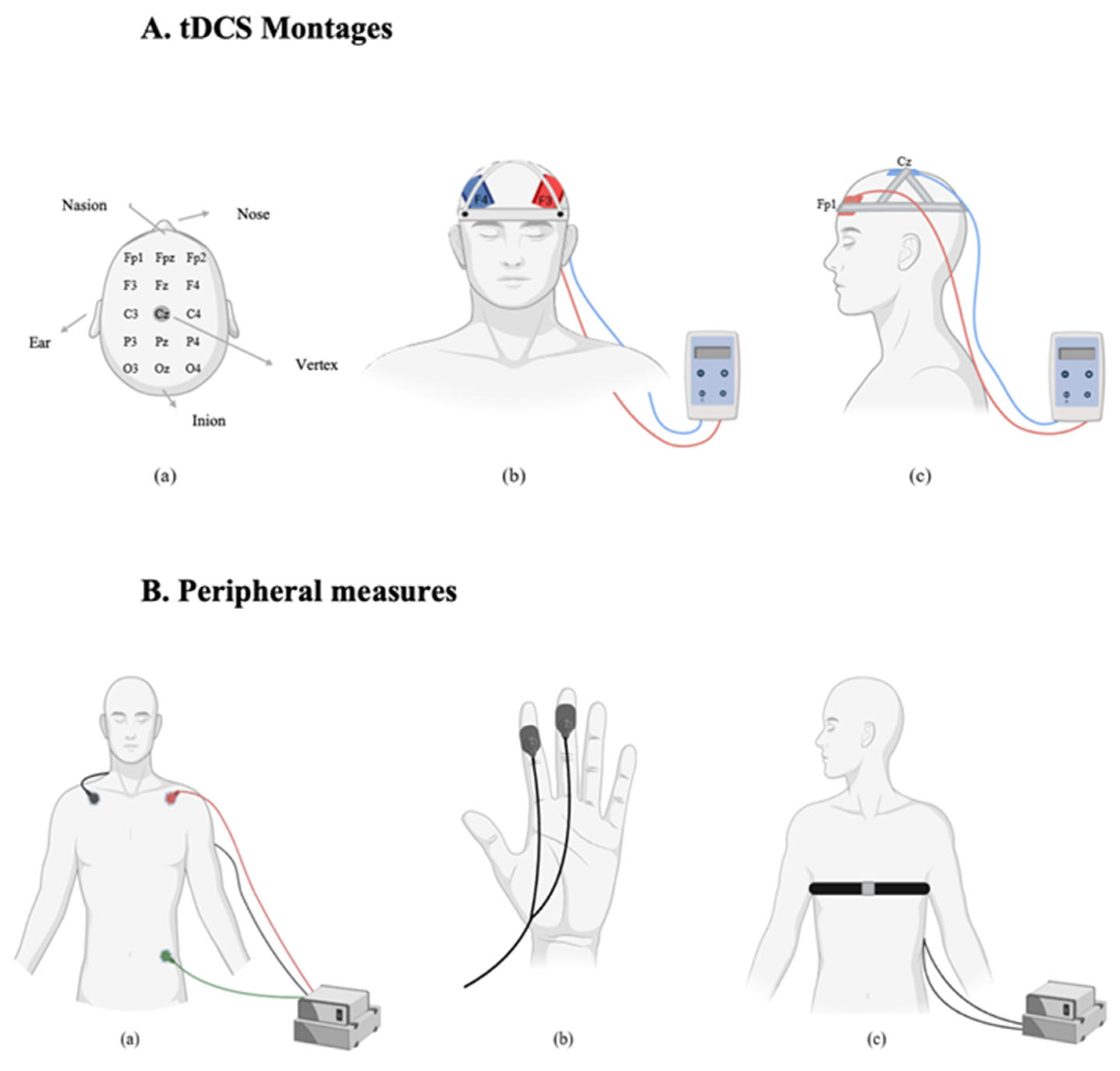 Brainsci 15 00898 g002
