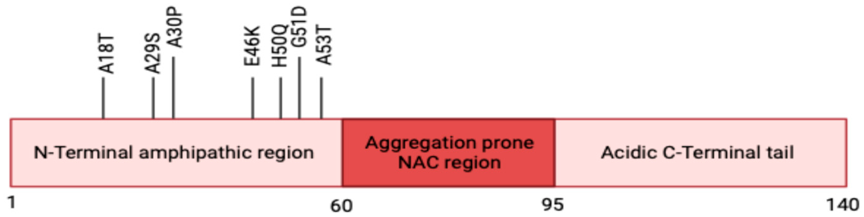 Brainsci 15 00899 g001