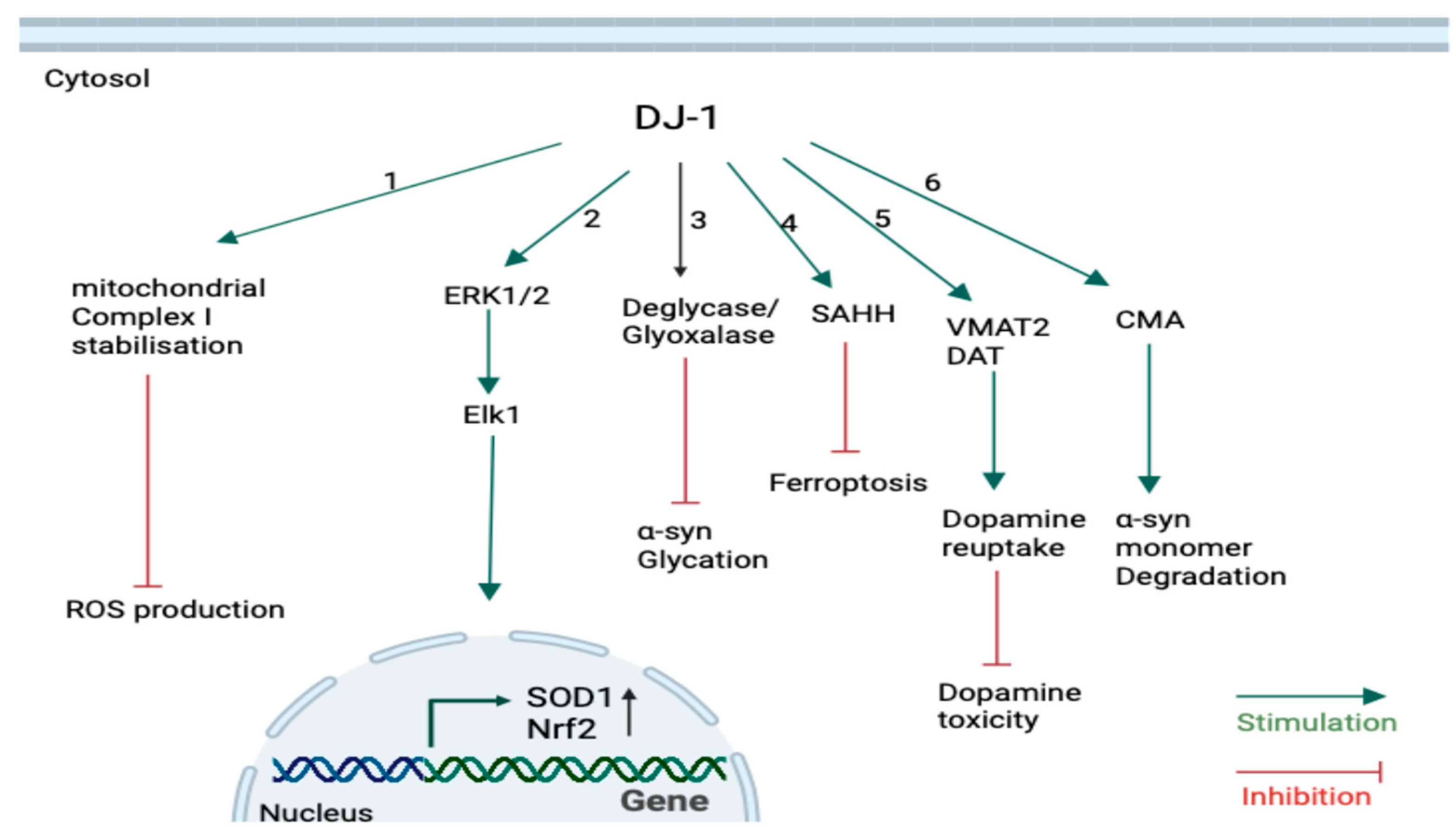 Brainsci 15 00899 g003