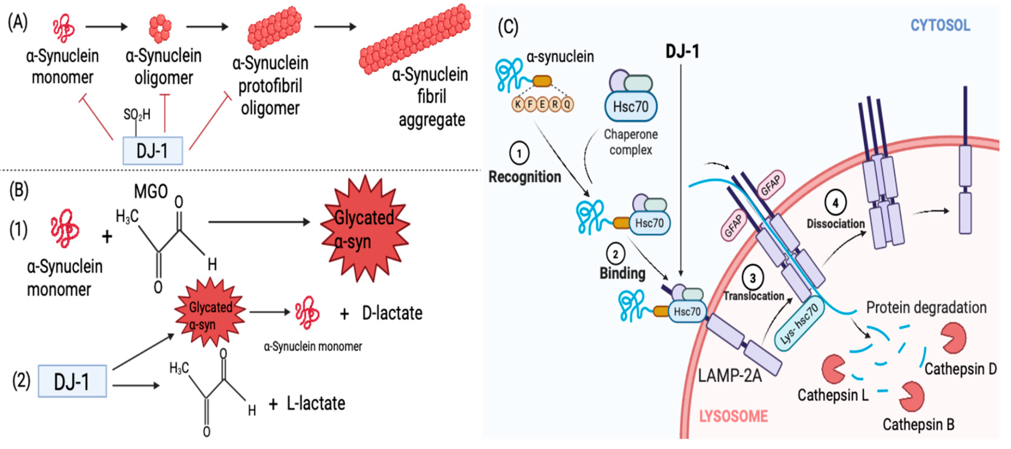 Brainsci 15 00899 g004