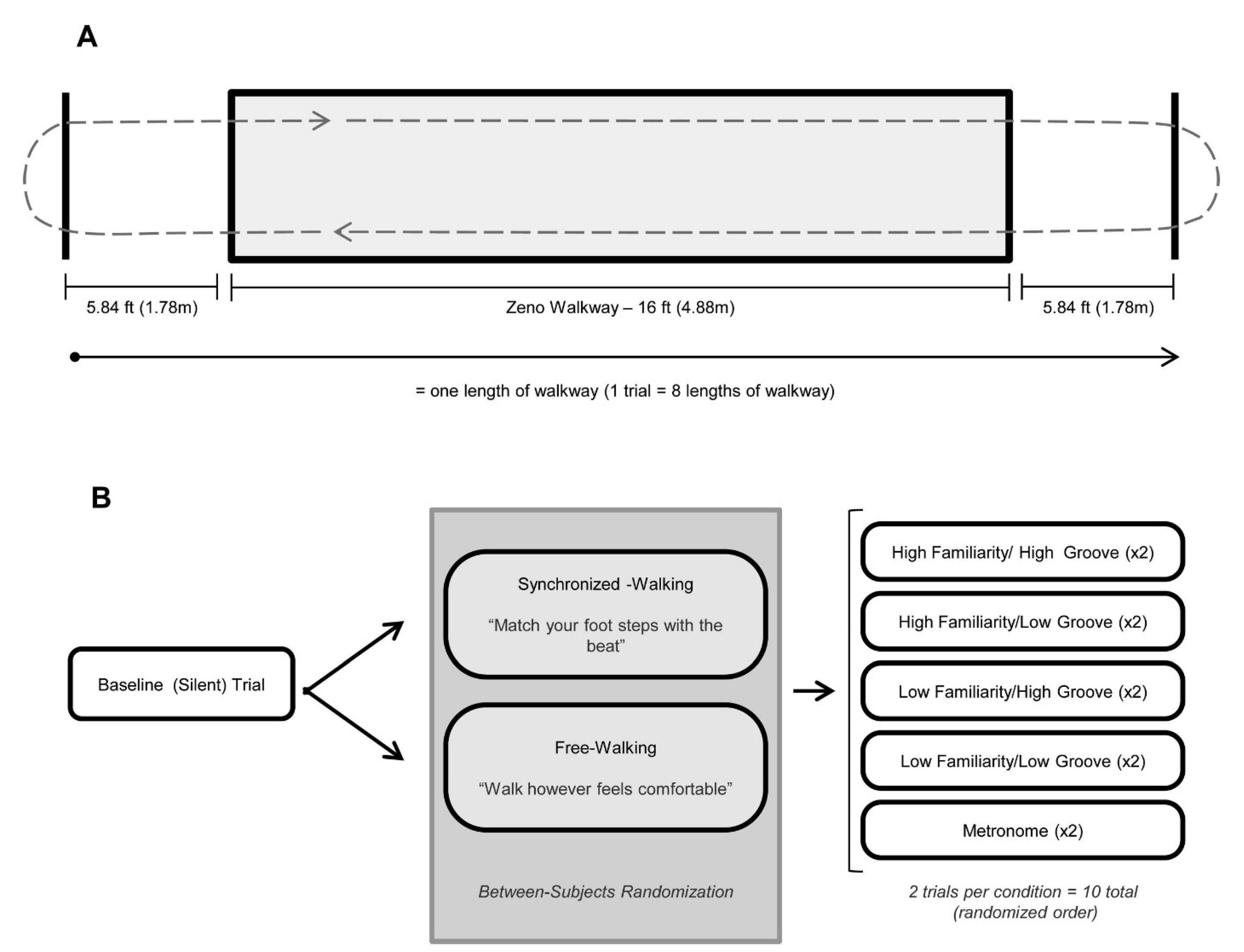 Brainsci 15 00901 g001 Brainsci 15 00901 g001