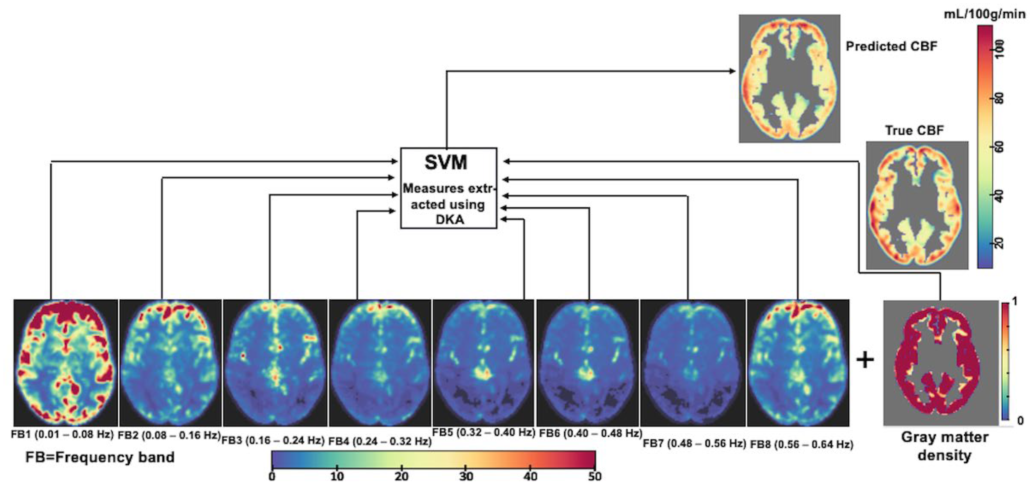 Brainsci 15 00908 g001