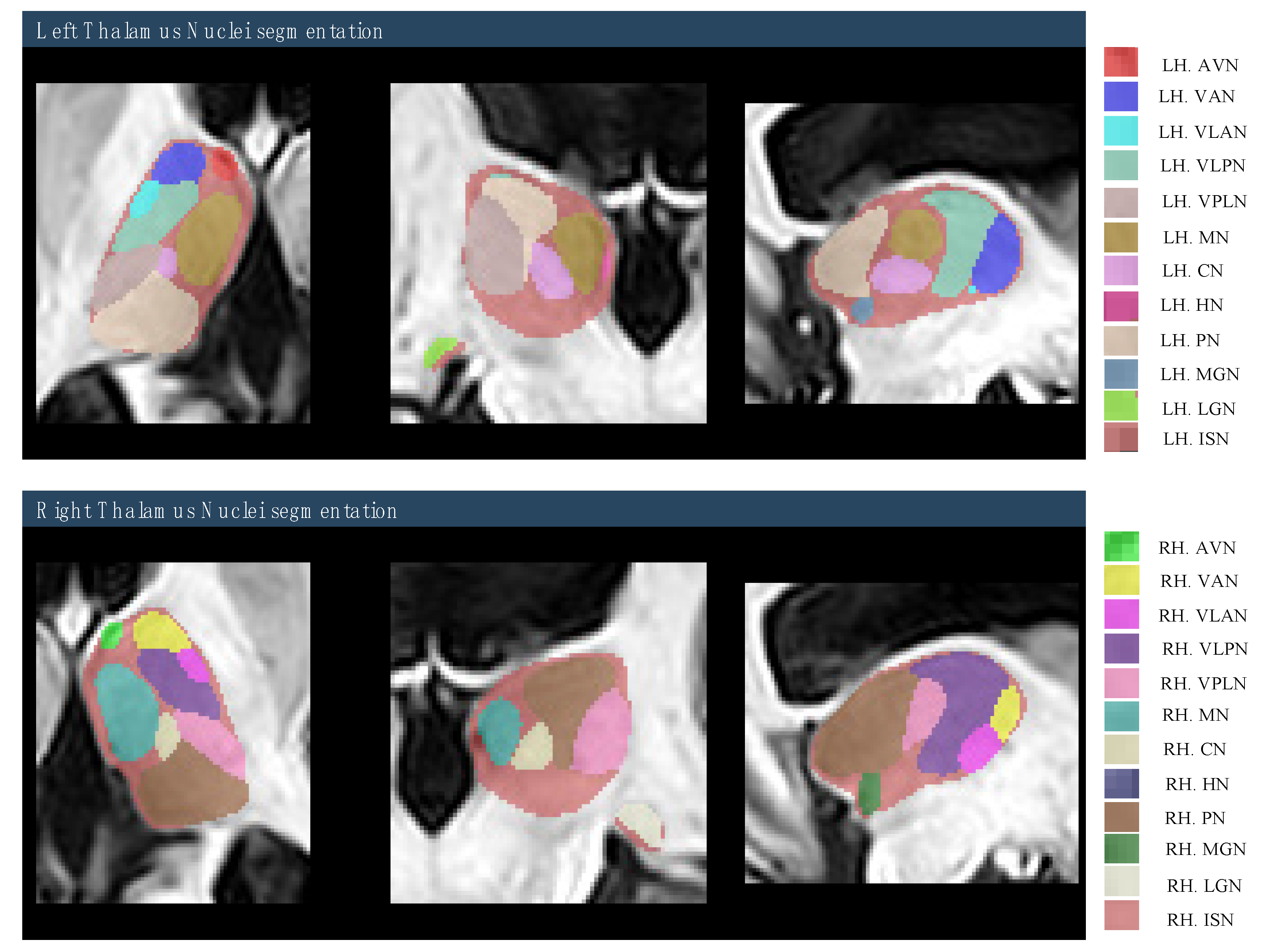 Brainsci 15 00914 g003