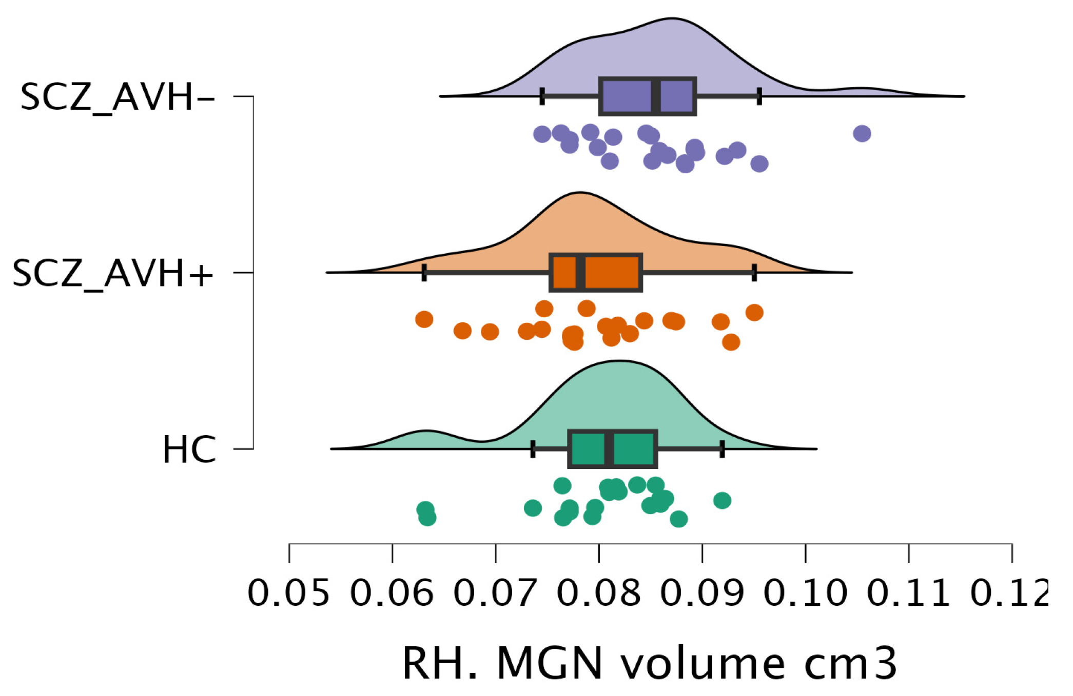 Brainsci 15 00914 g004