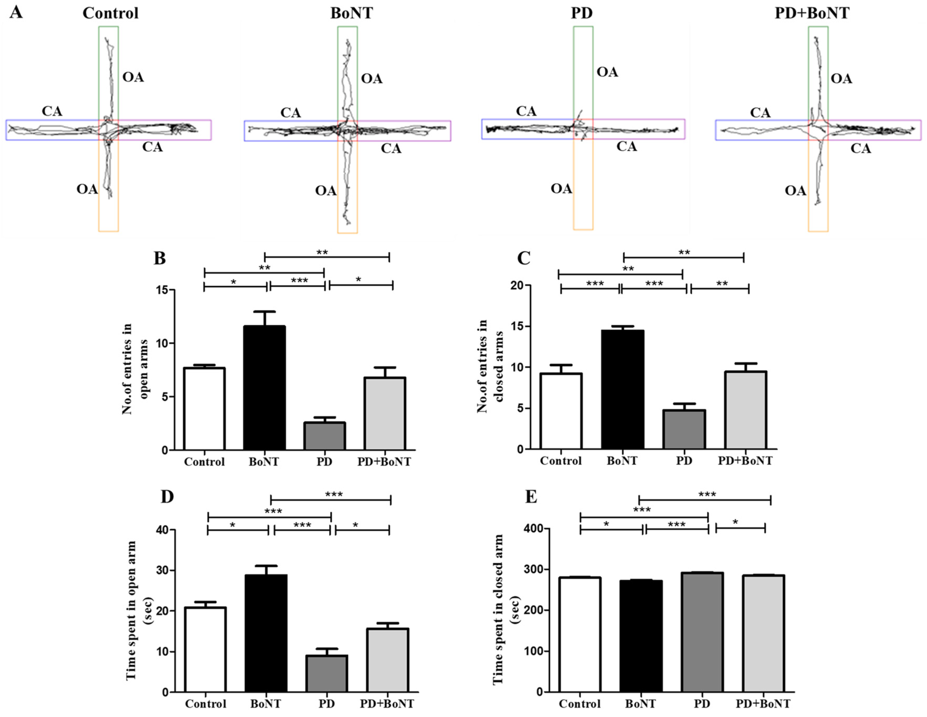 Brainsci 15 00916 g006 Brainsci 15 00916 g006