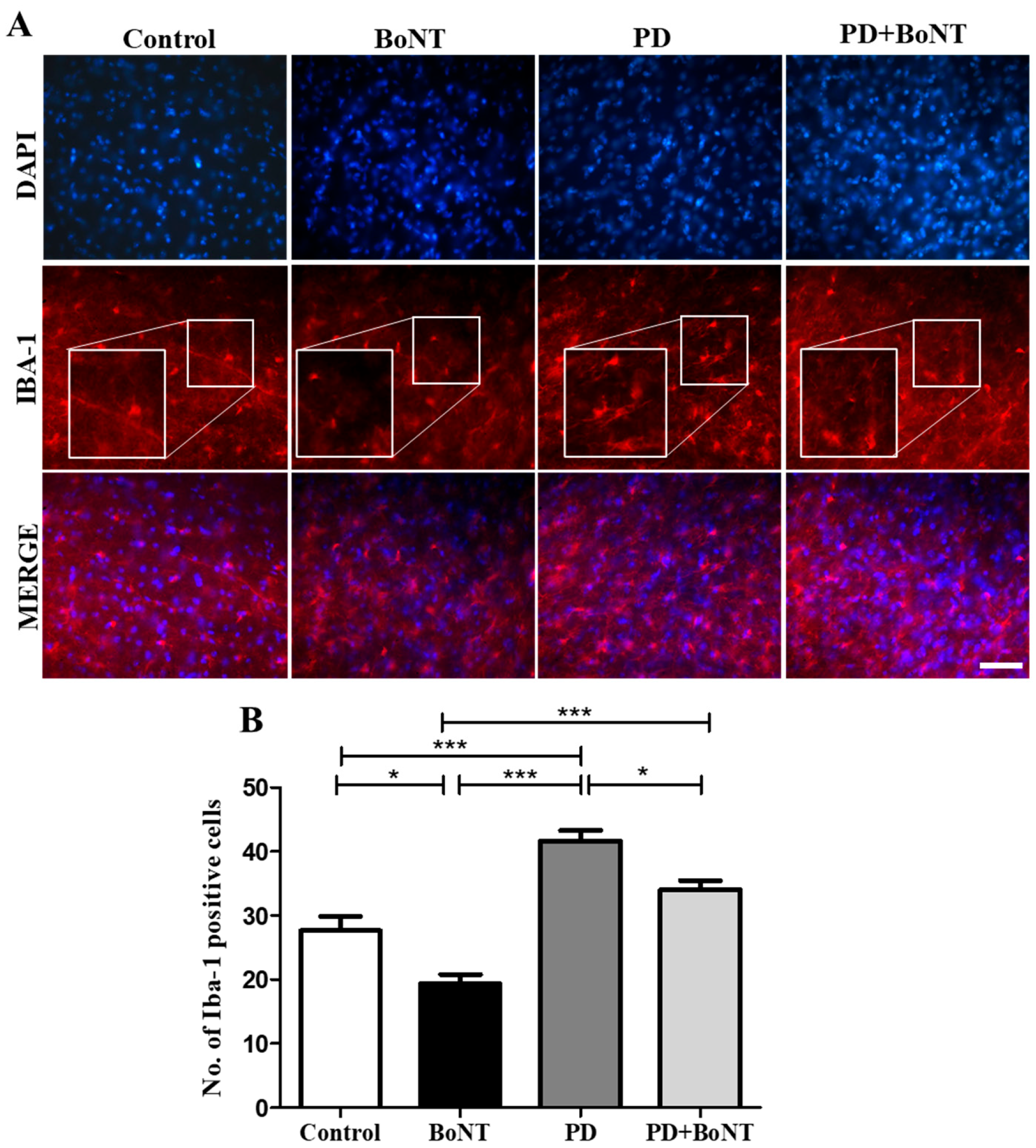 Brainsci 15 00916 g008 Brainsci 15 00916 g008