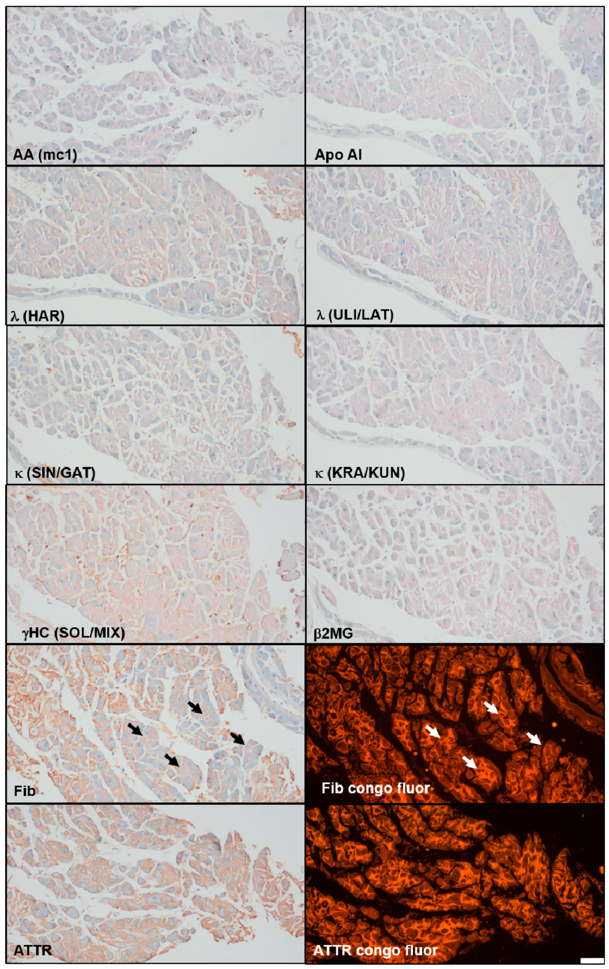 Brainsci 15 00921 g004