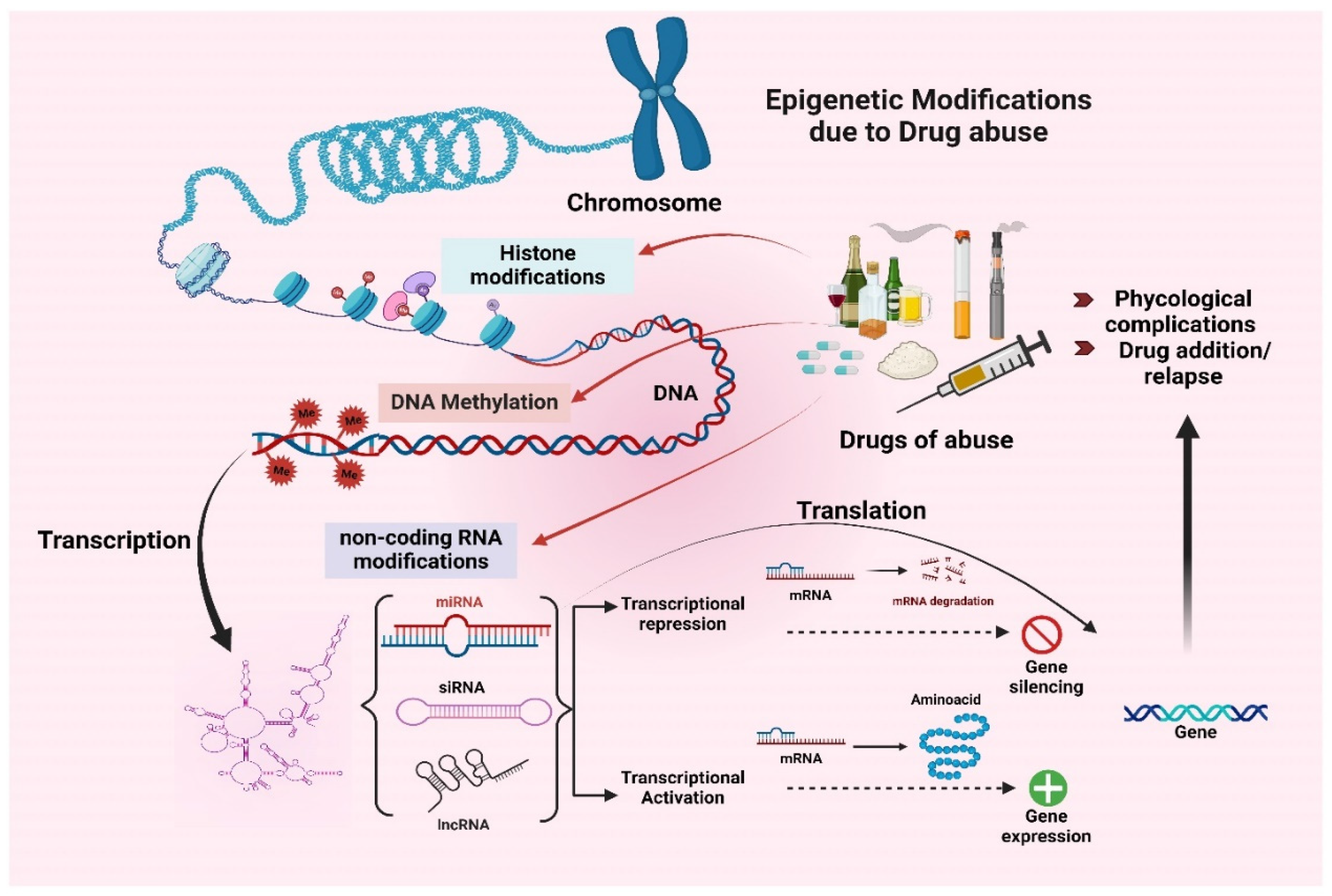Brainsci 15 00927 g002 Brainsci 15 00927 g002