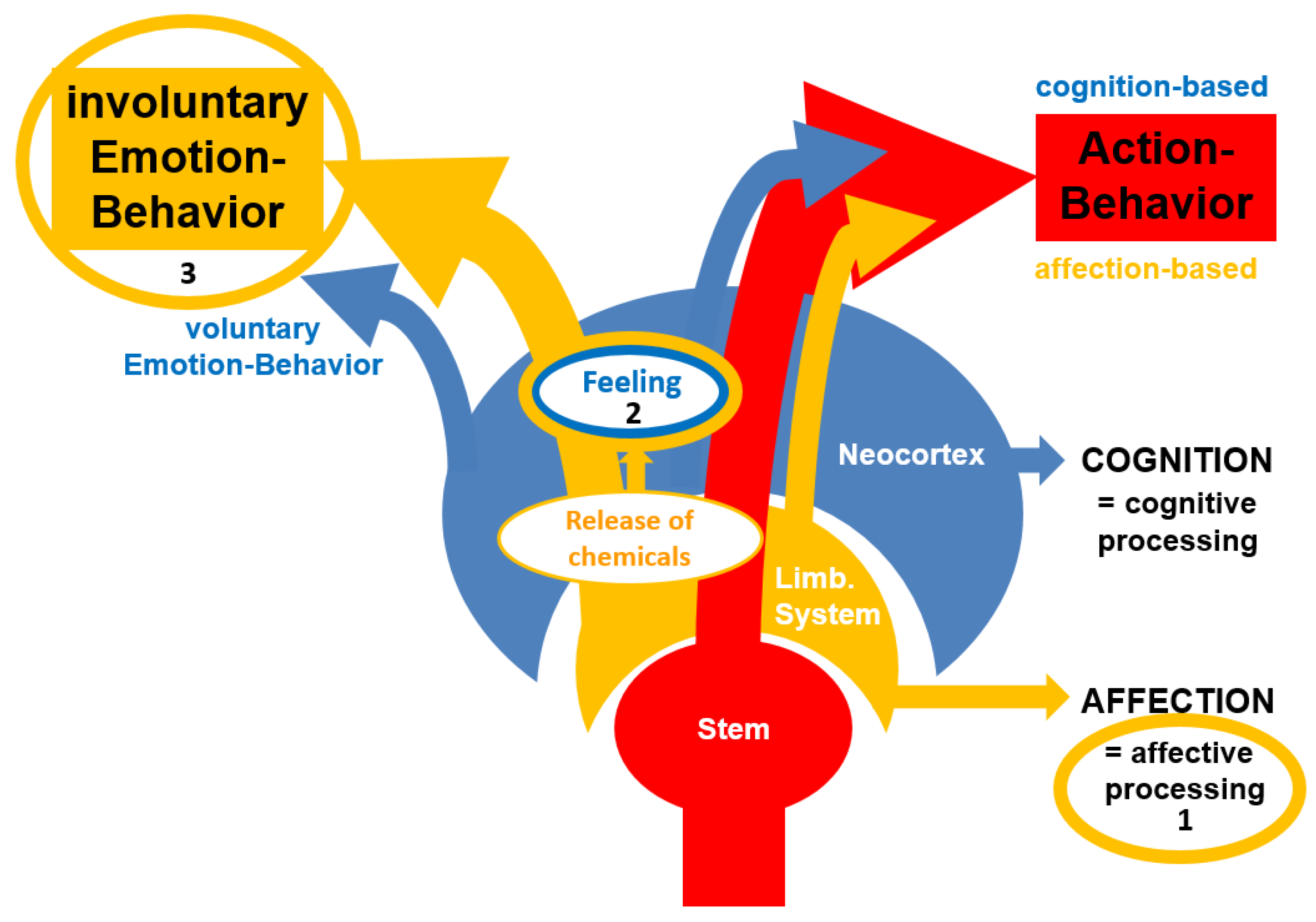 Brainsci 15 00929 g002