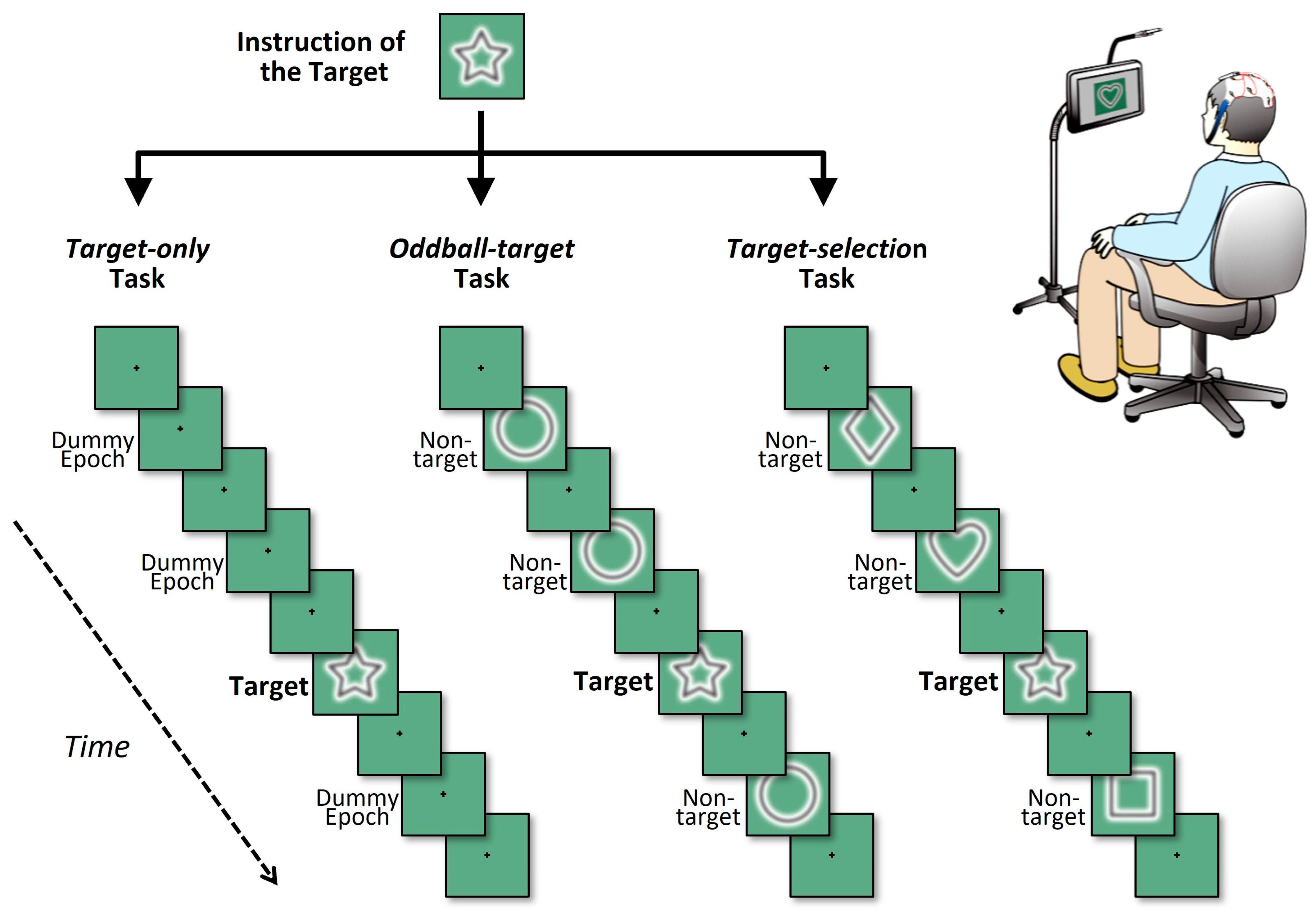Brainsci 15 00931 g001