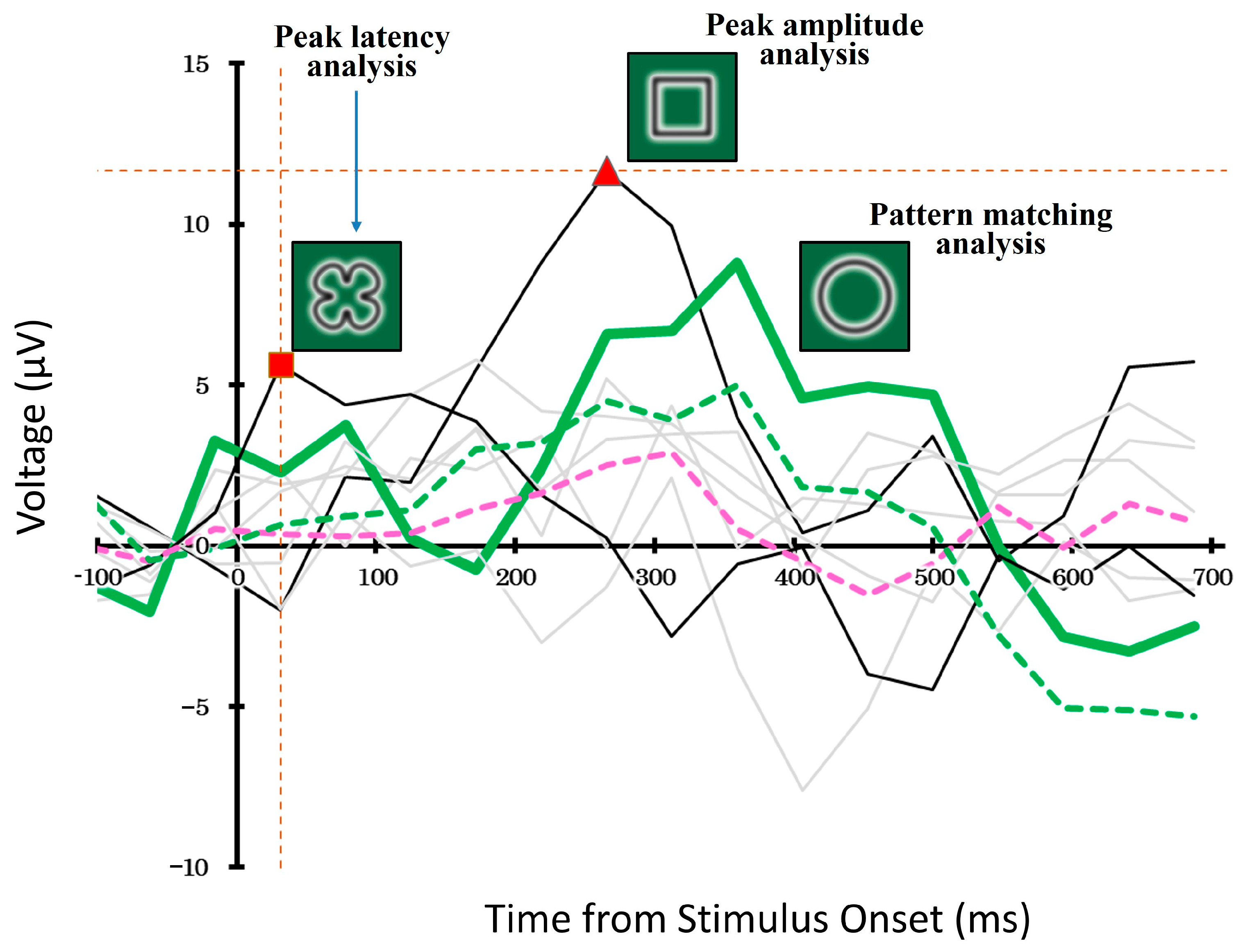 Brainsci 15 00931 g006