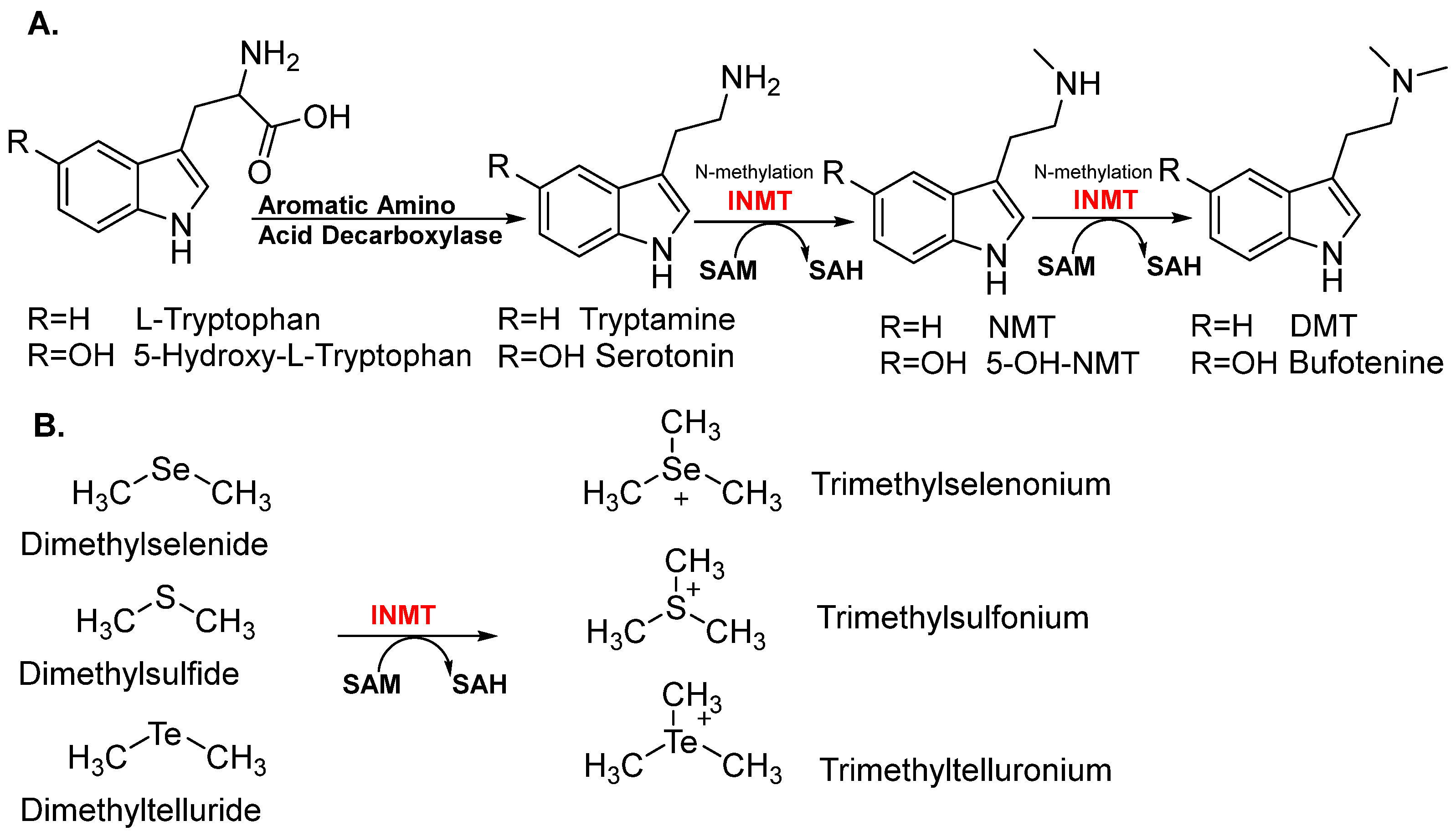 Brainsci 15 00935 g001 Brainsci 15 00935 g001
