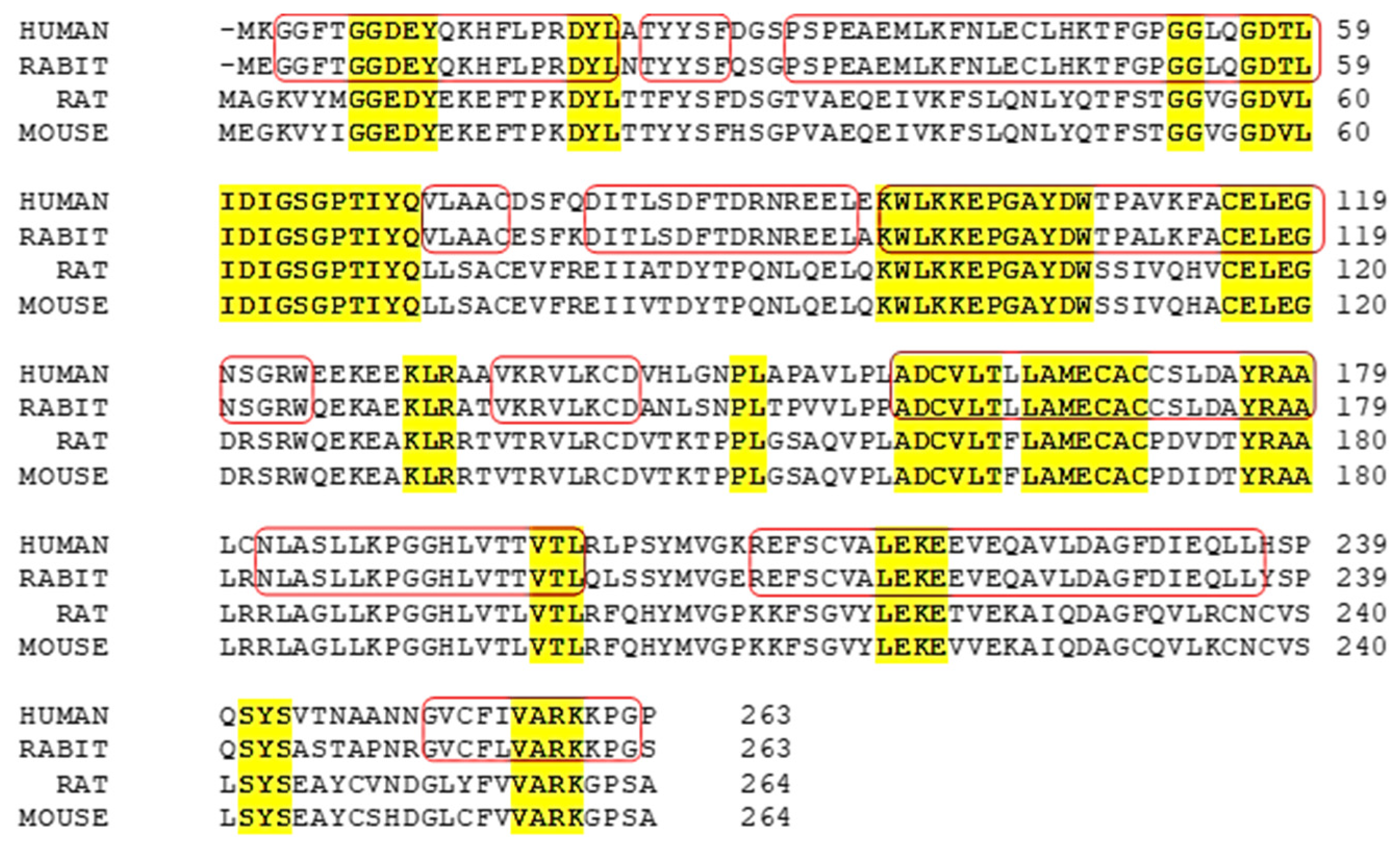 Brainsci 15 00935 g003 Brainsci 15 00935 g003