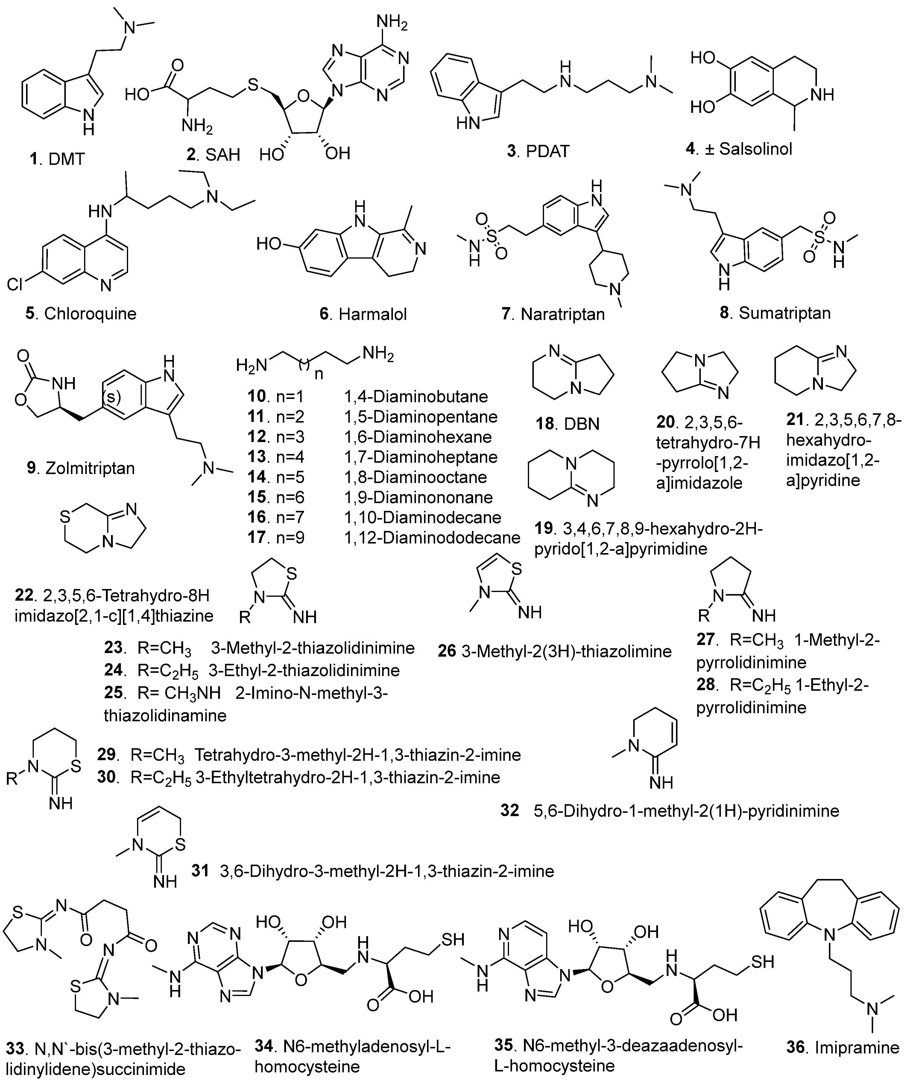 Brainsci 15 00935 g005 Brainsci 15 00935 g005