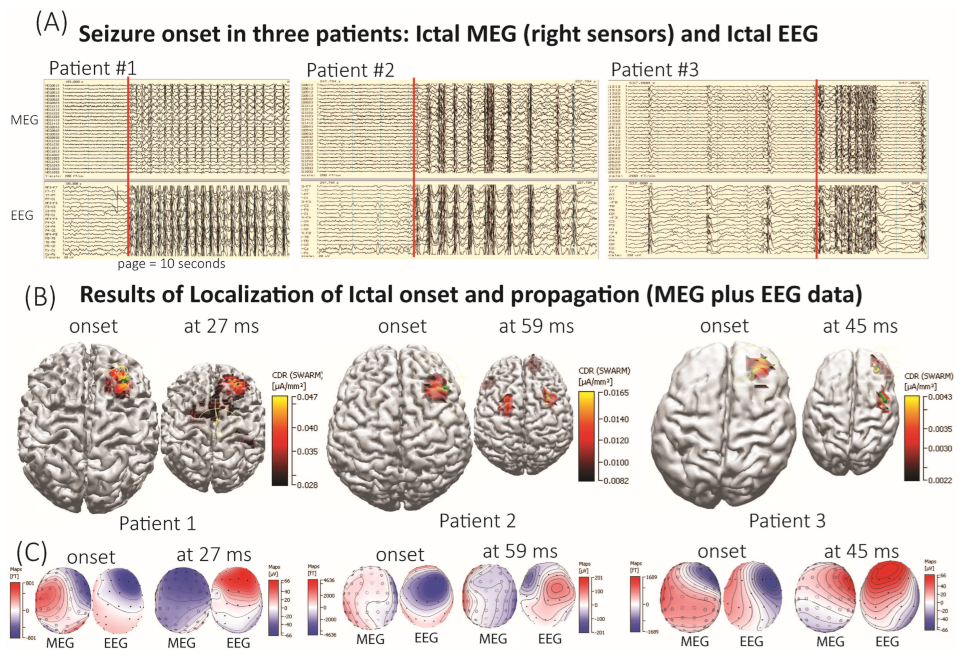 Brainsci 15 00938 g001 Brainsci 15 00938 g001