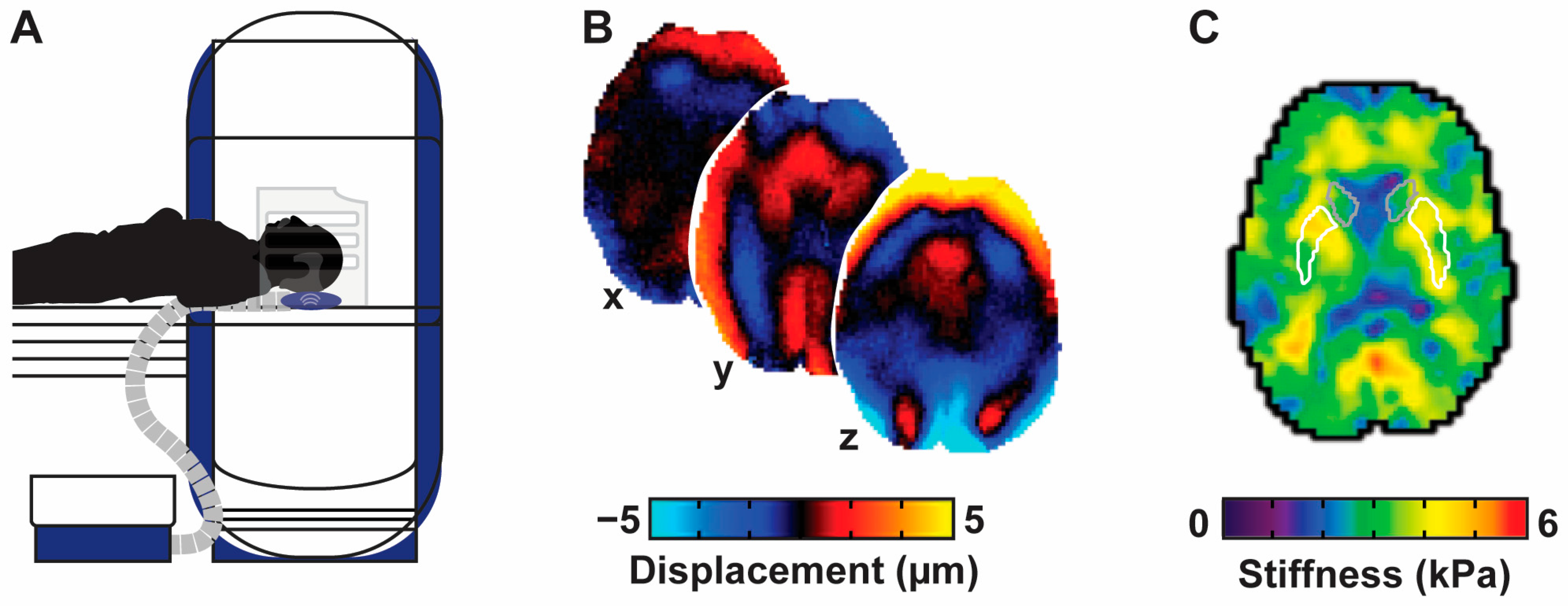 Brainsci 15 00947 g001 Brainsci 15 00947 g001