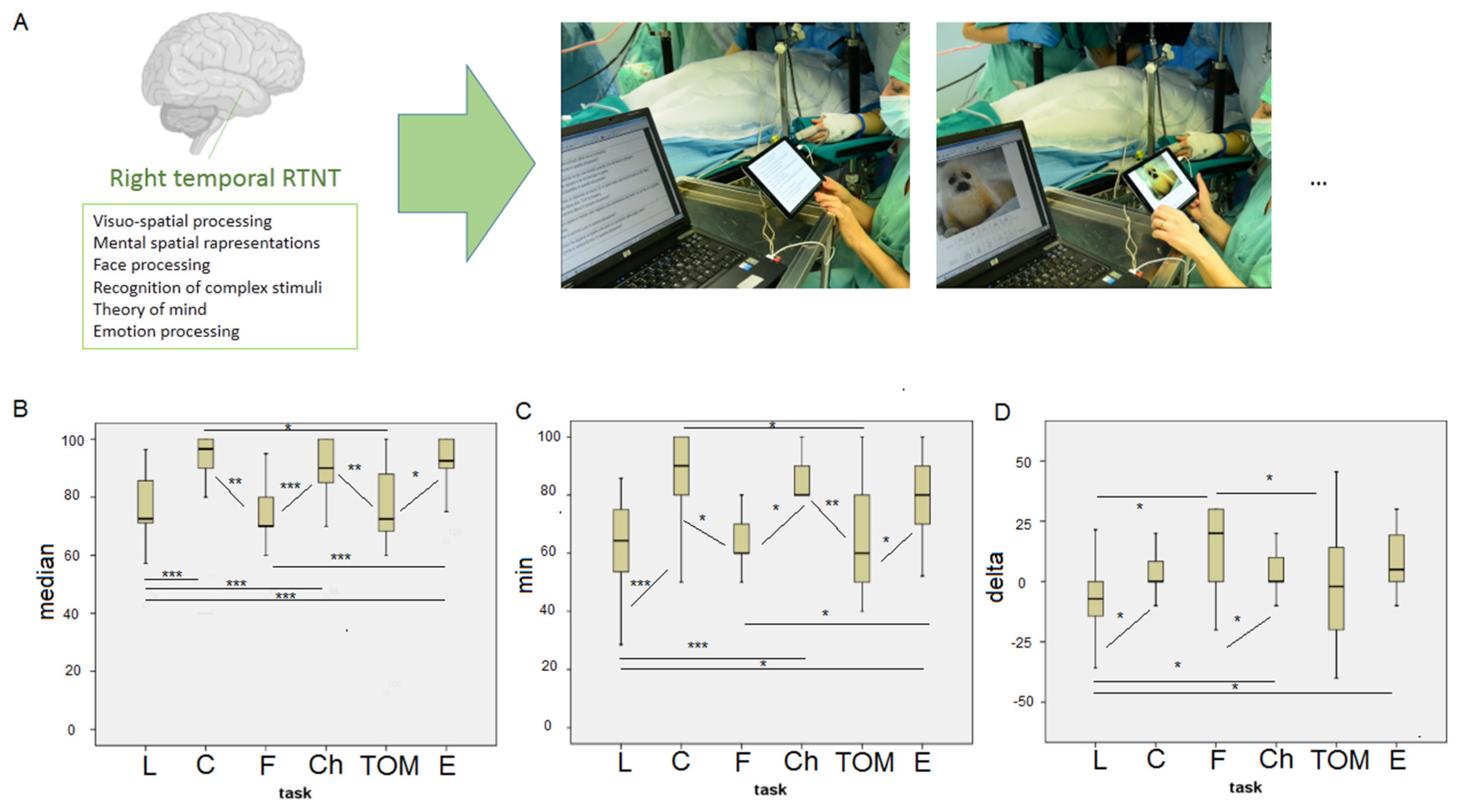 Brainsci 15 00949 g001 Brainsci 15 00949 g001