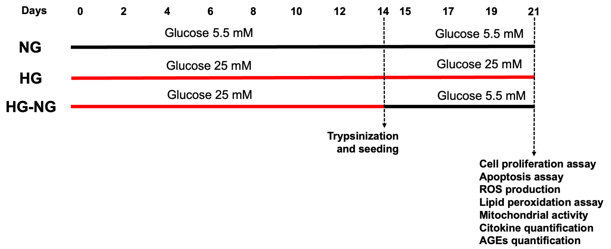 Brainsci 15 00952 g001