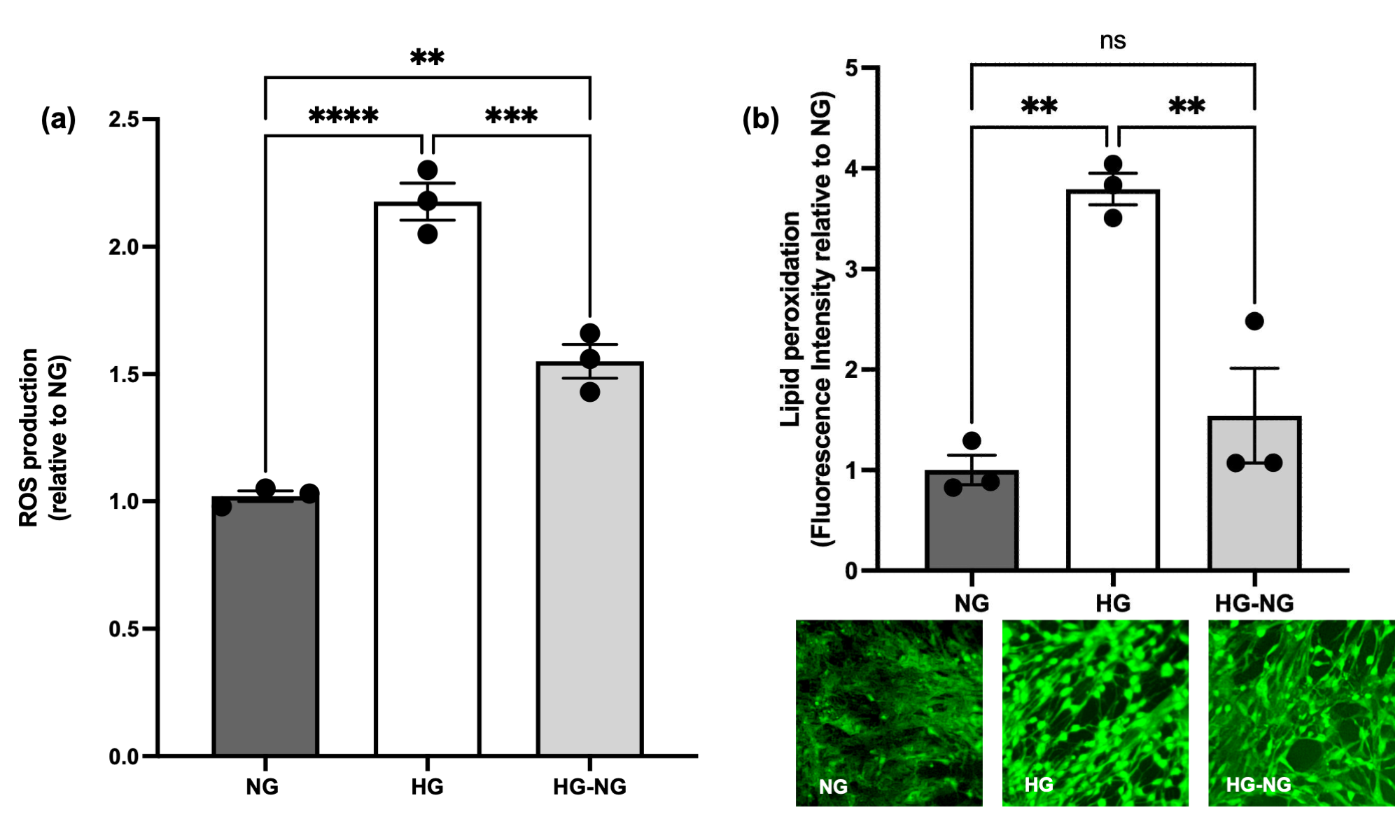 Brainsci 15 00952 g005