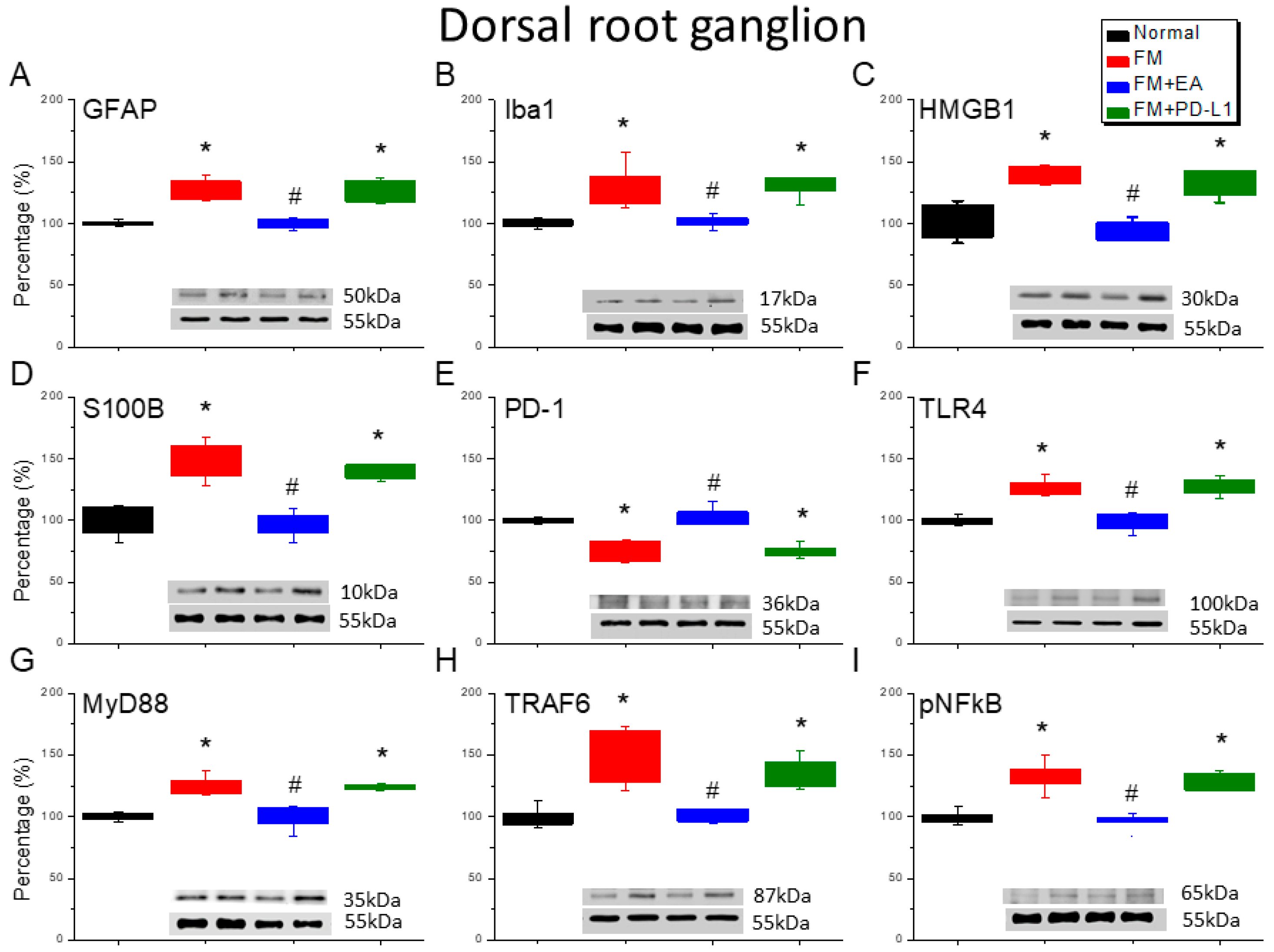 Brainsci 15 00976 g002 Brainsci 15 00976 g002