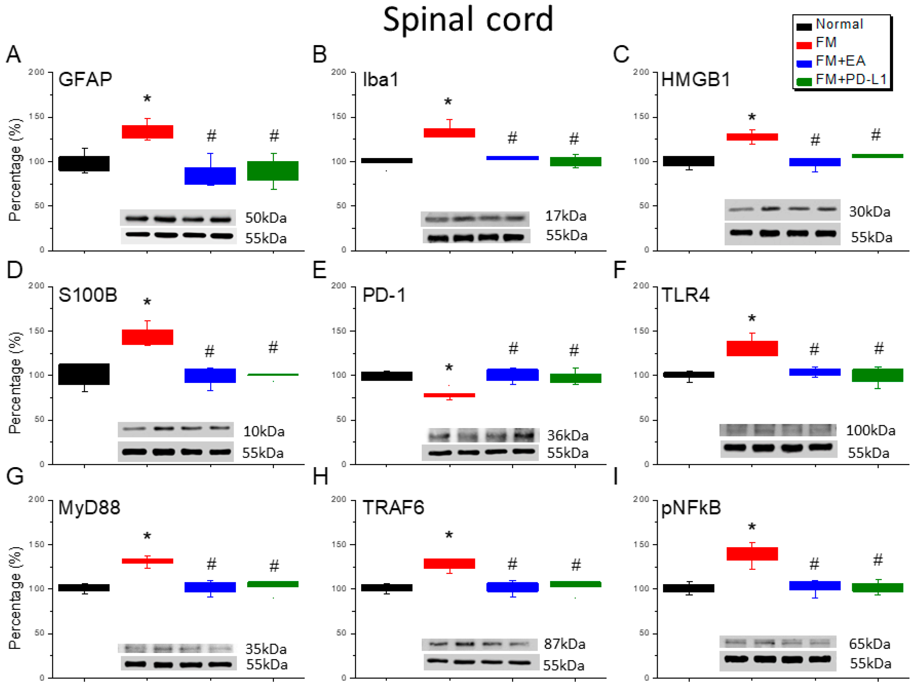 Brainsci 15 00976 g003 Brainsci 15 00976 g003