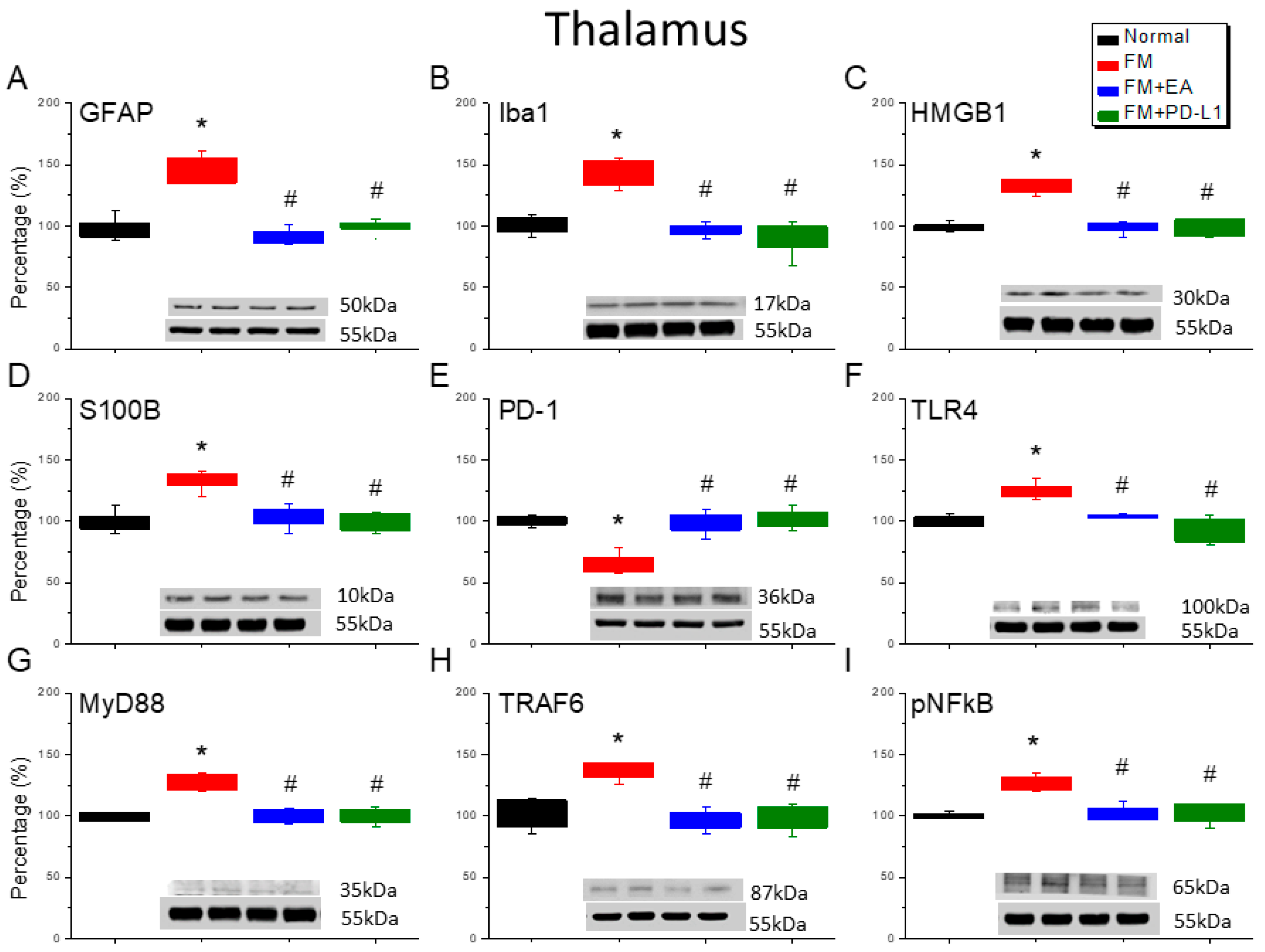 Brainsci 15 00976 g004 Brainsci 15 00976 g004