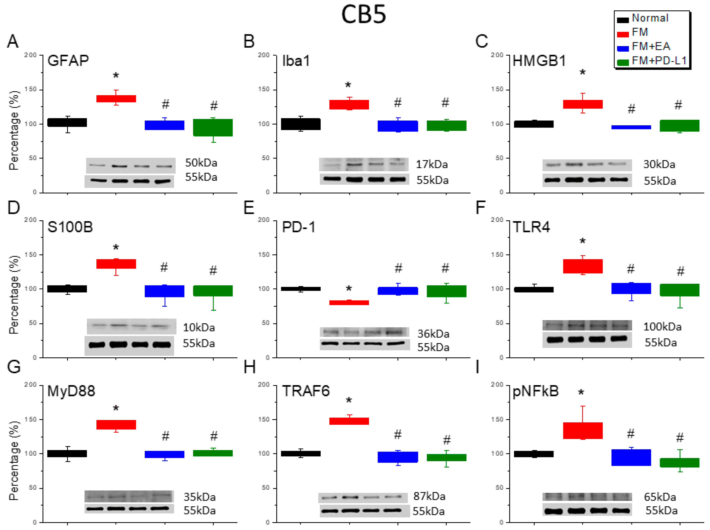 Brainsci 15 00976 g006 Brainsci 15 00976 g006