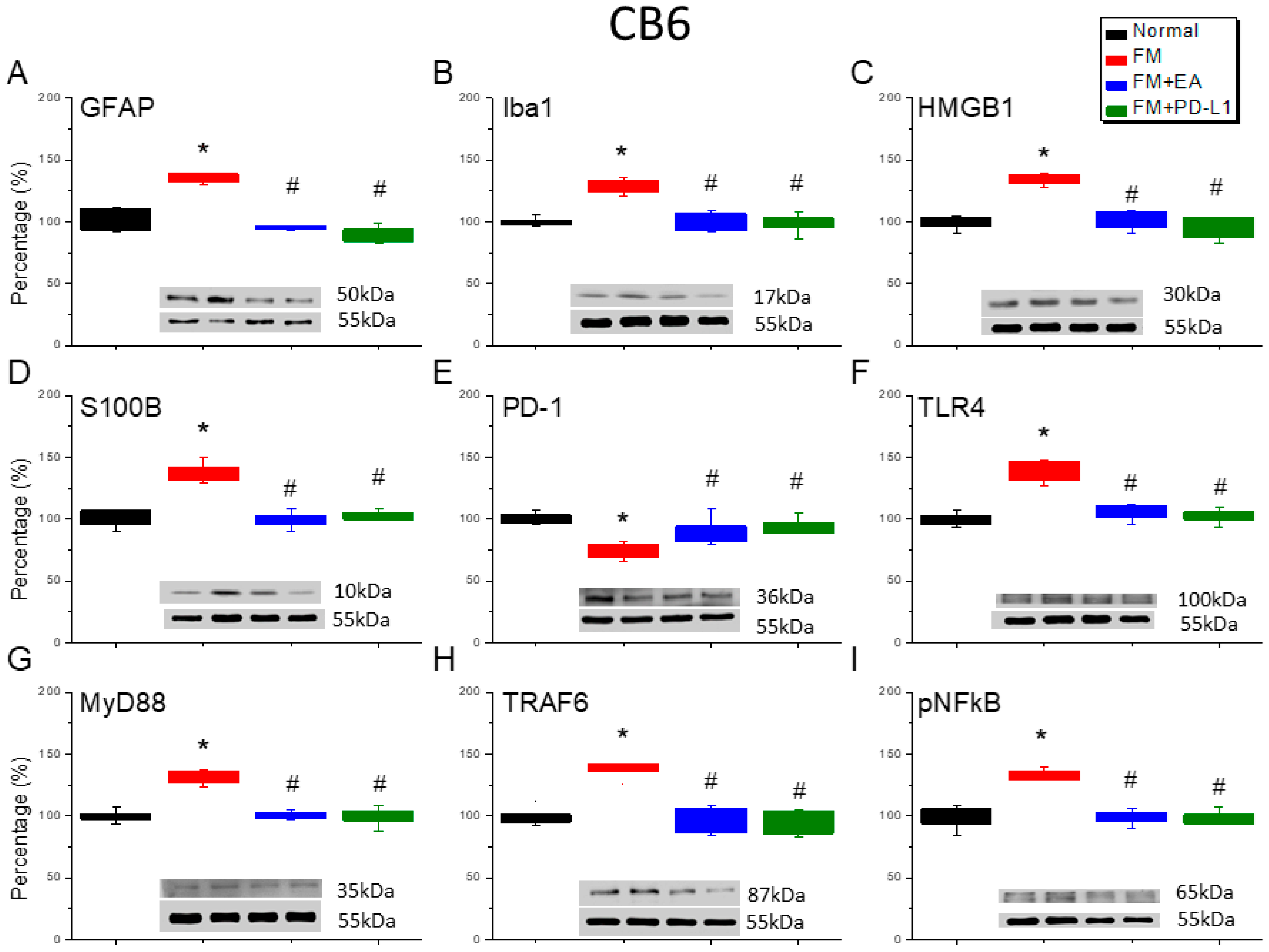 Brainsci 15 00976 g007 Brainsci 15 00976 g007