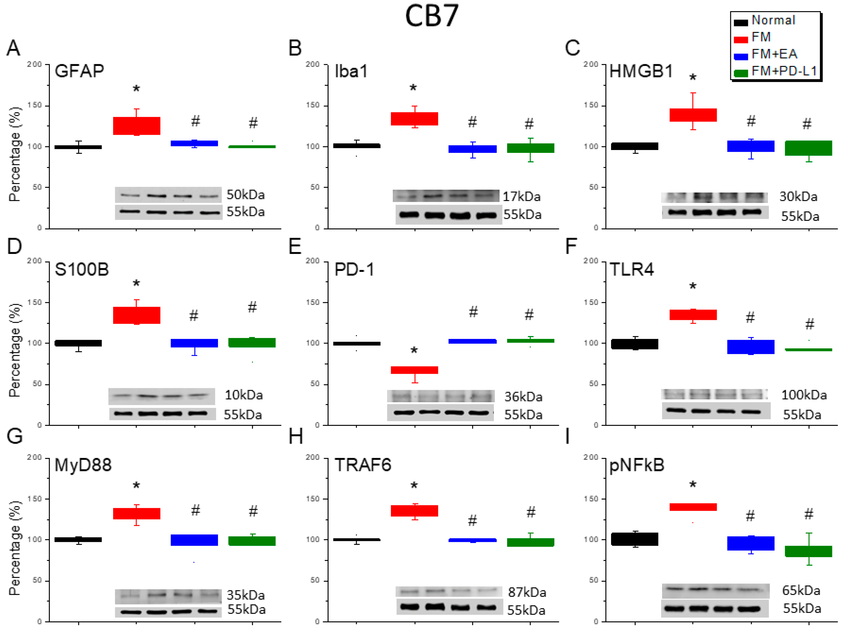 Brainsci 15 00976 g008 Brainsci 15 00976 g008