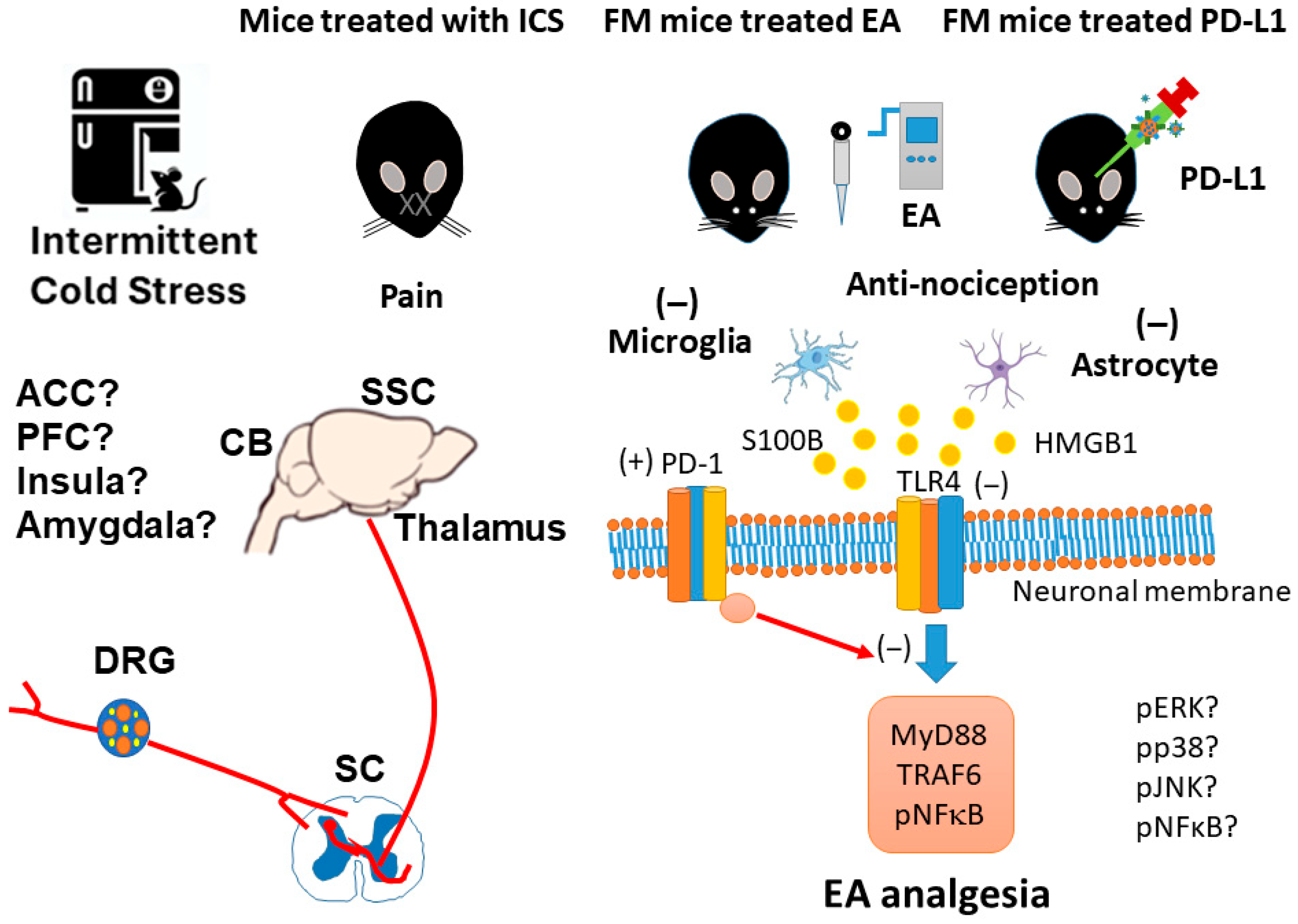 Brainsci 15 00976 g009 Brainsci 15 00976 g009