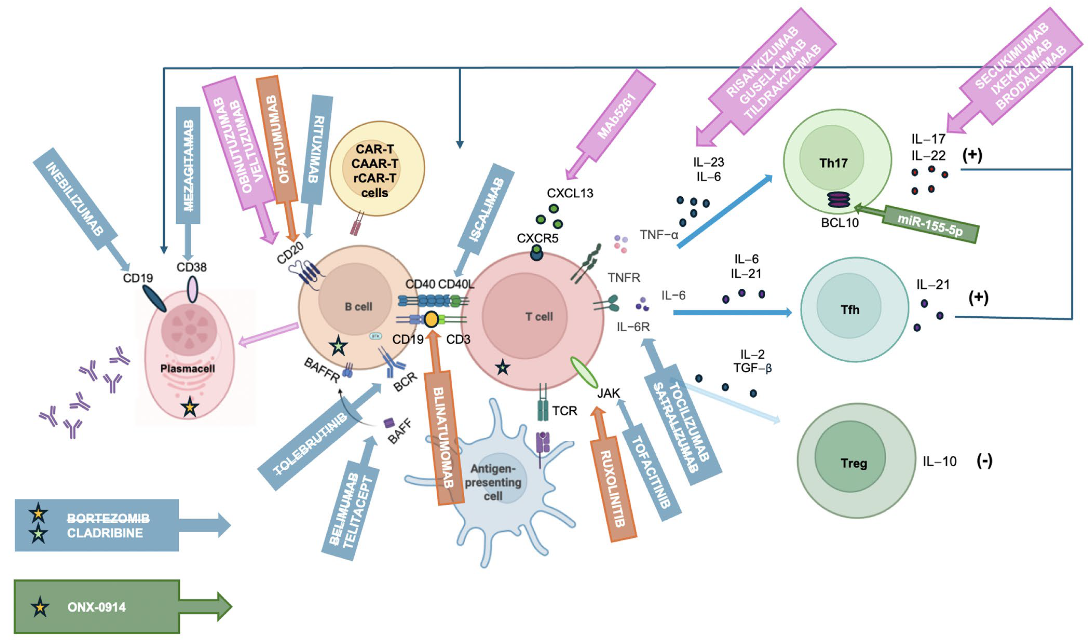 Brainsci 15 00978 g001