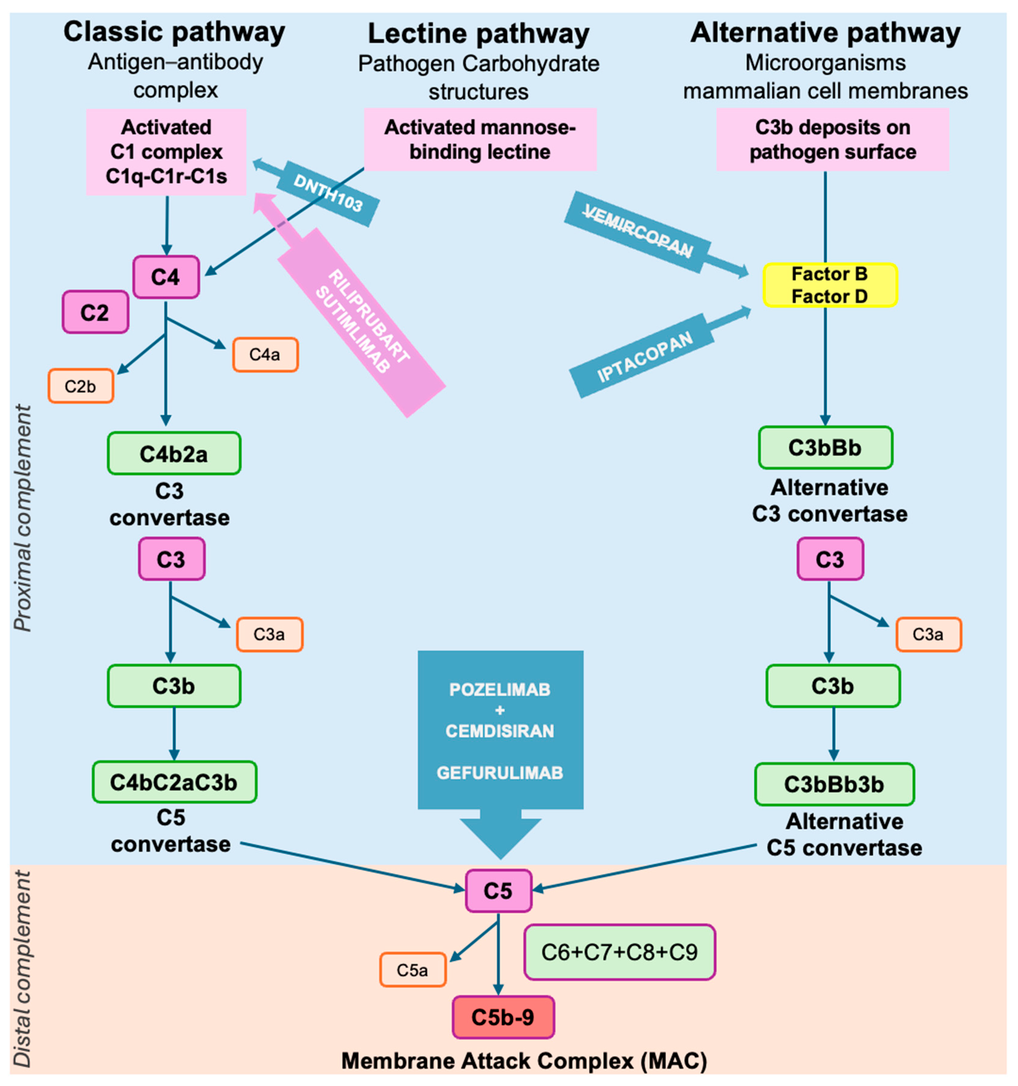 Brainsci 15 00978 g002