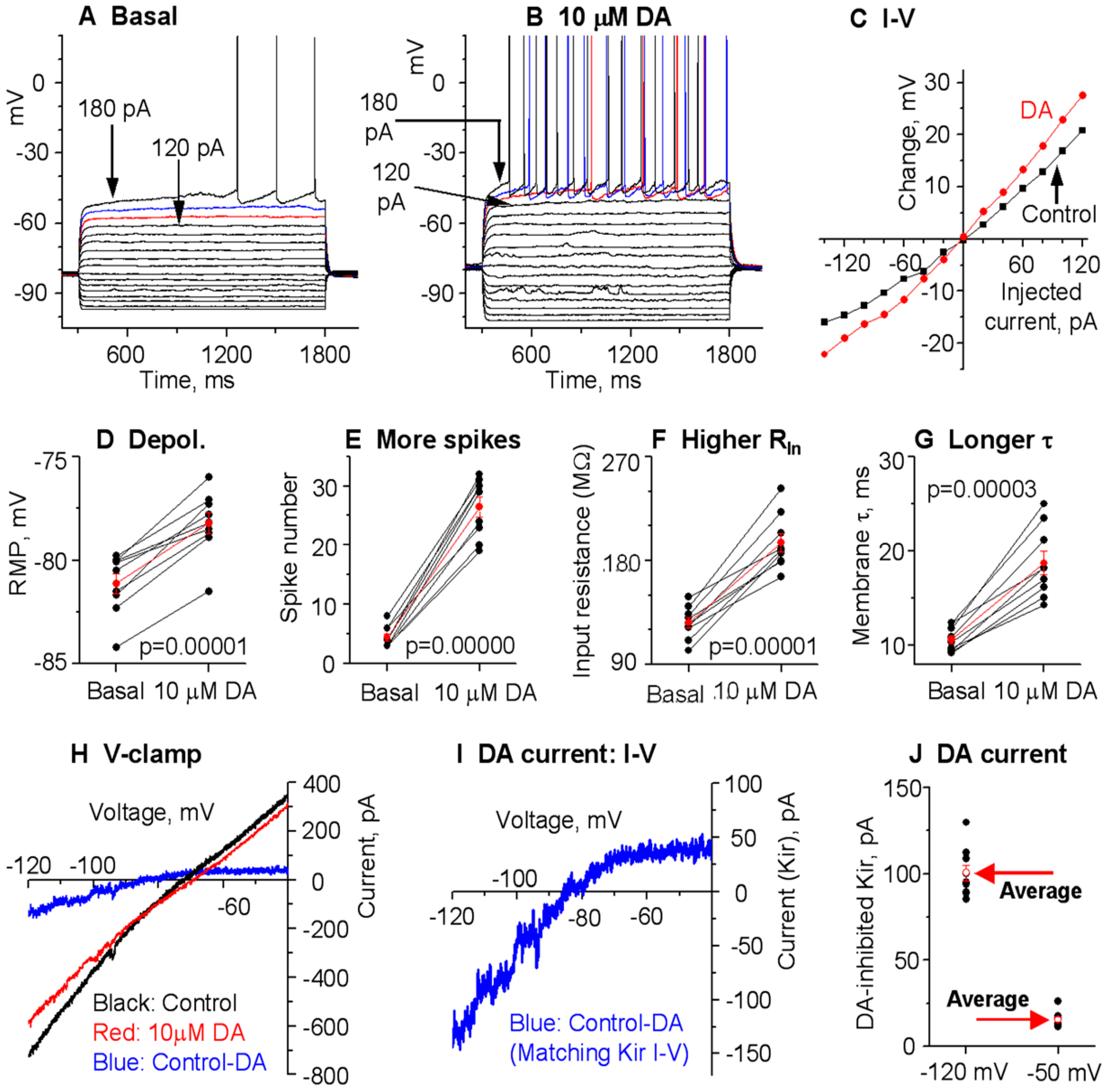 Brainsci 15 00979 g007 Brainsci 15 00979 g007