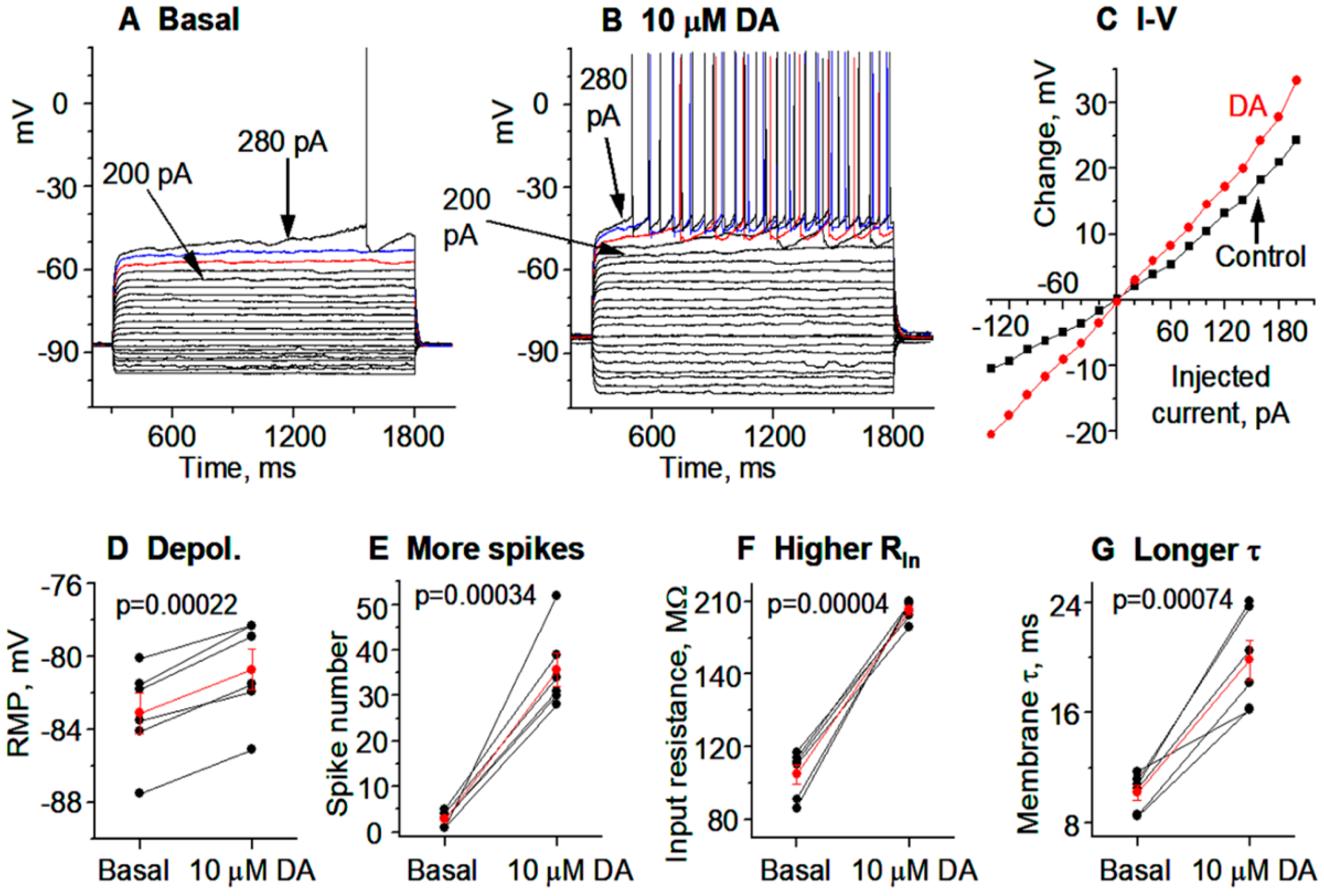 Brainsci 15 00979 g008 Brainsci 15 00979 g008