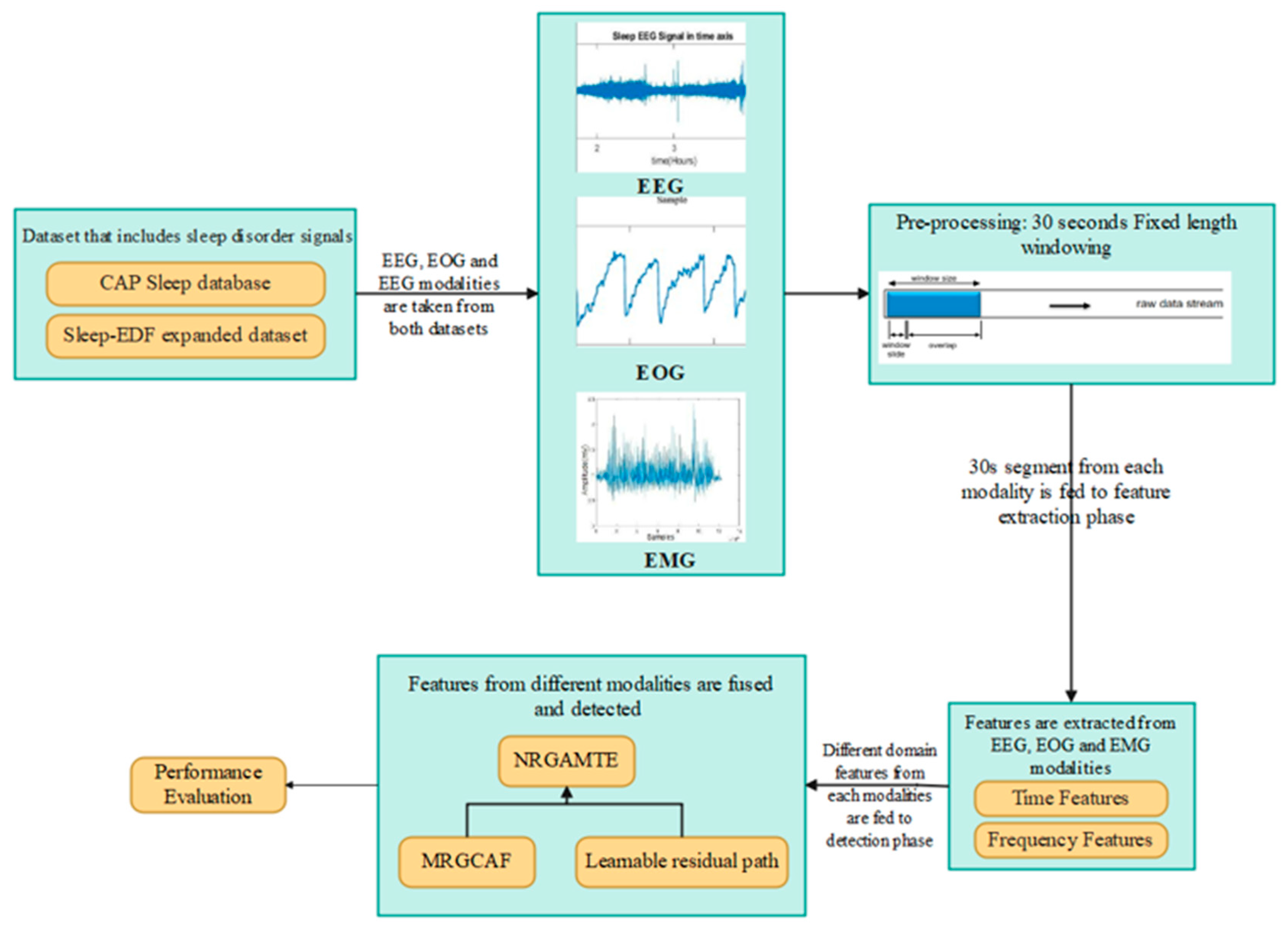 Brainsci 15 00985 g001 Brainsci 15 00985 g001