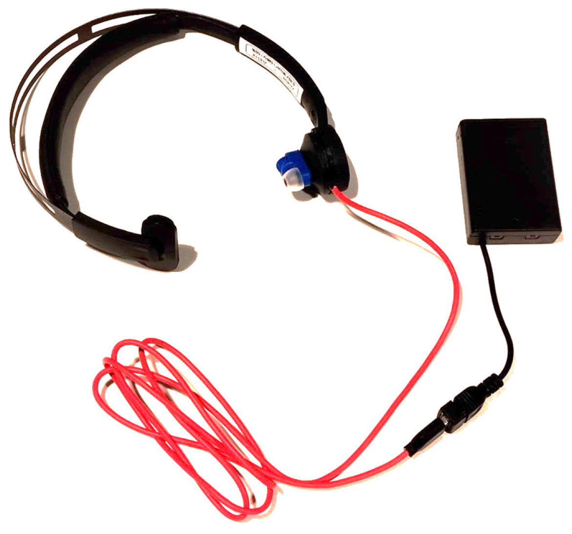 Brainsci 15 00986 g001